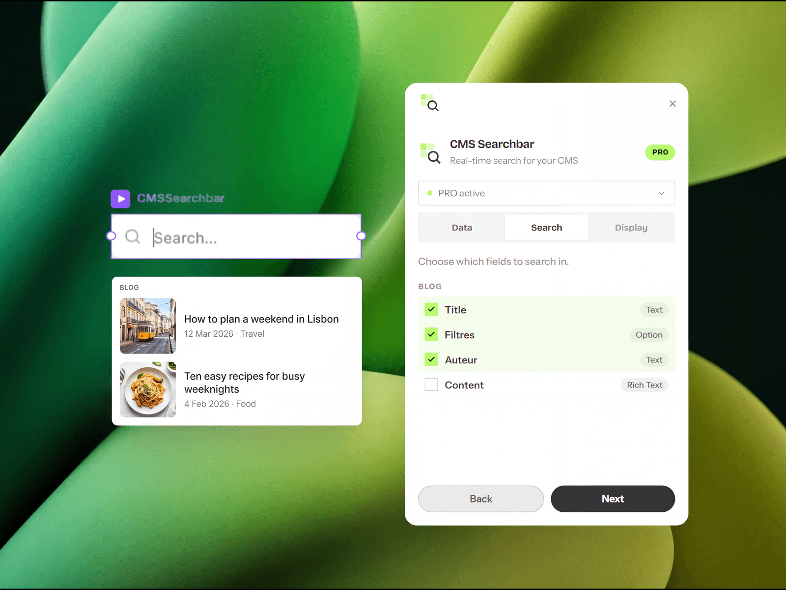 CMS Searchbar