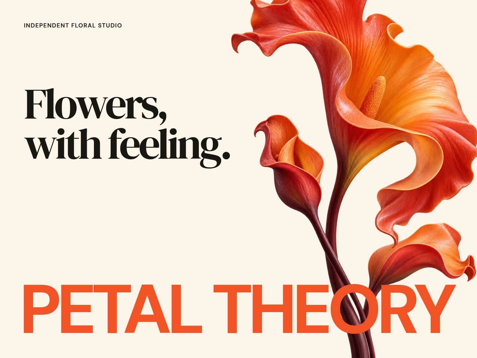 Petal Theory