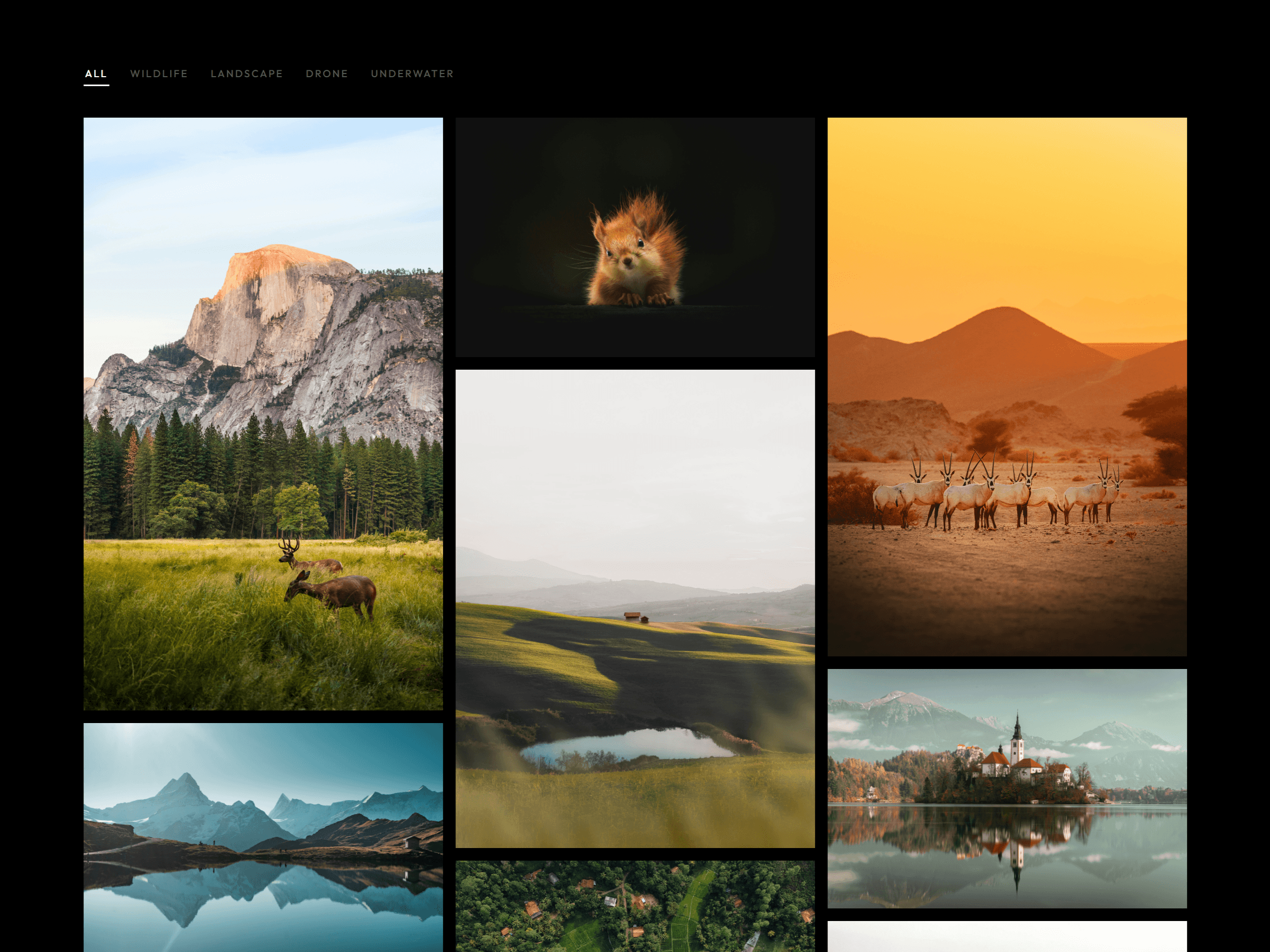 Gallery Grid