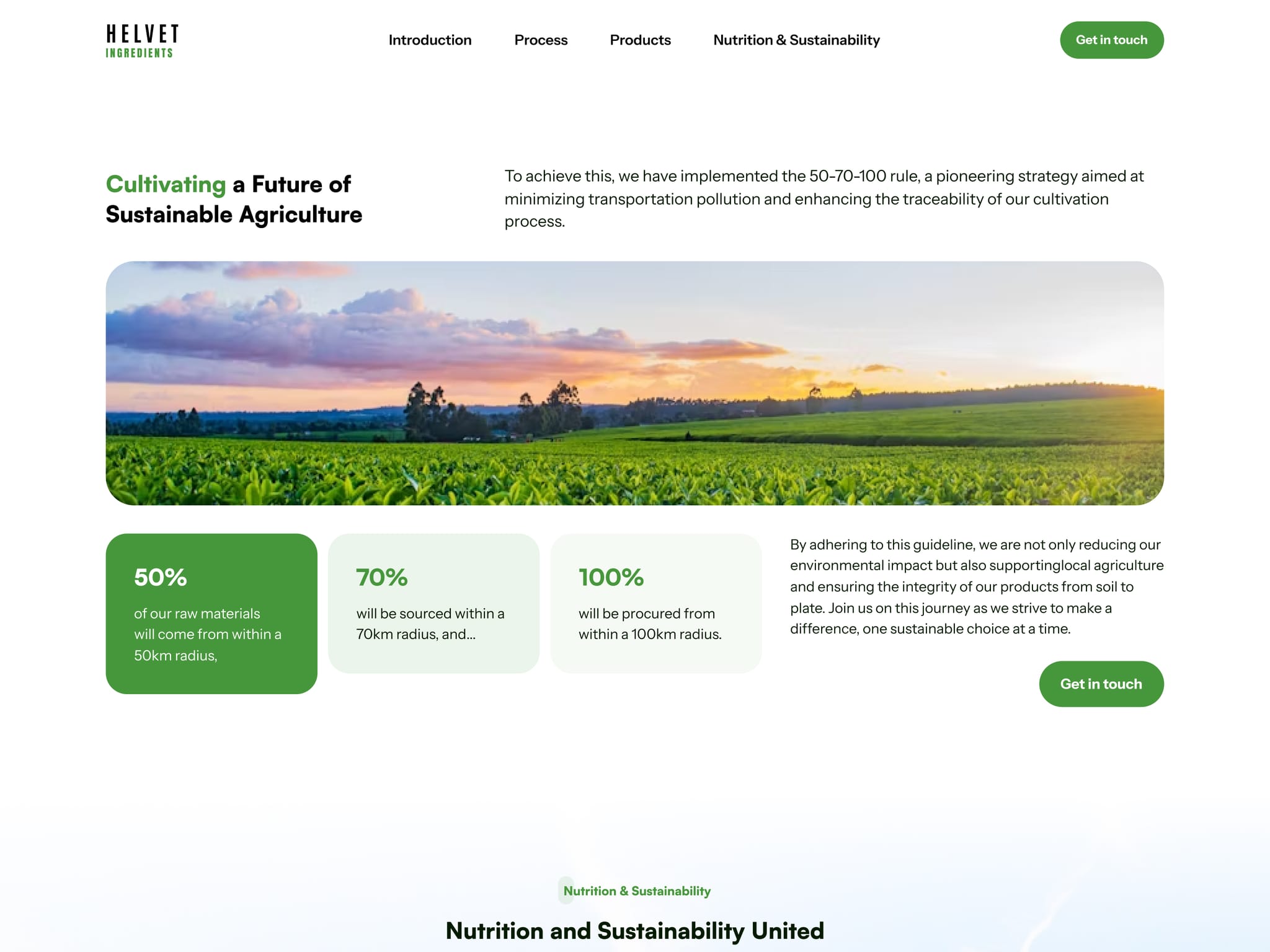 Premium Food Website