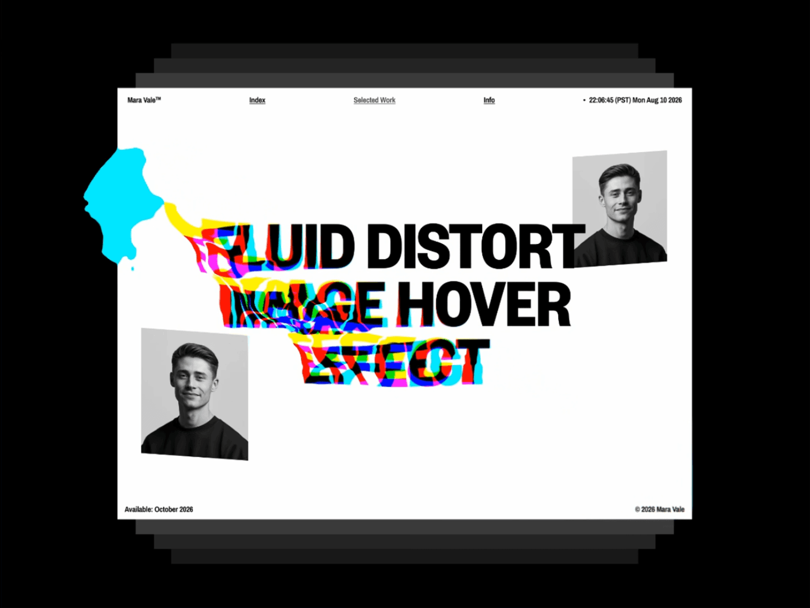 Fluid Image Distort
