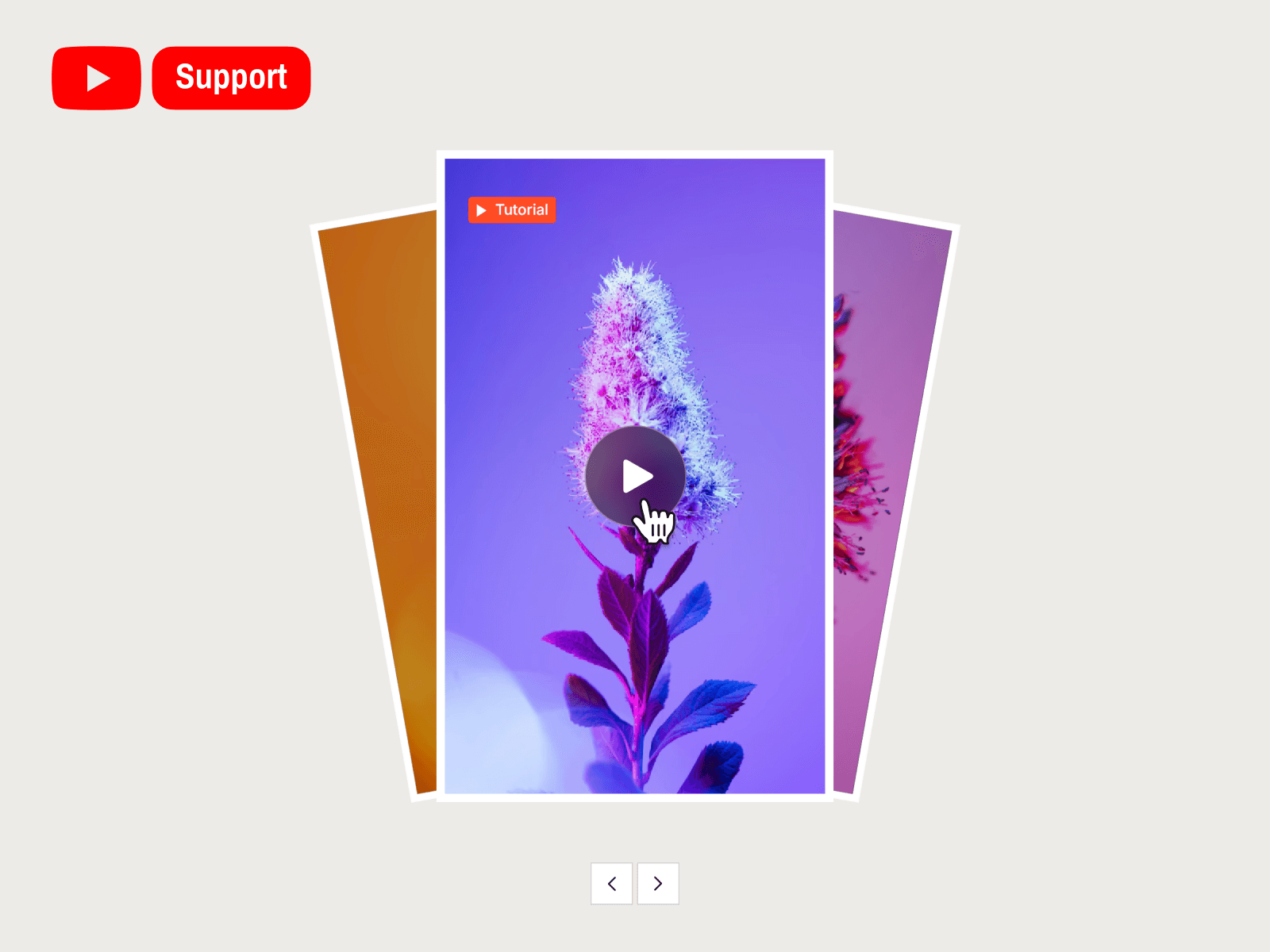 Fan Video Carousel