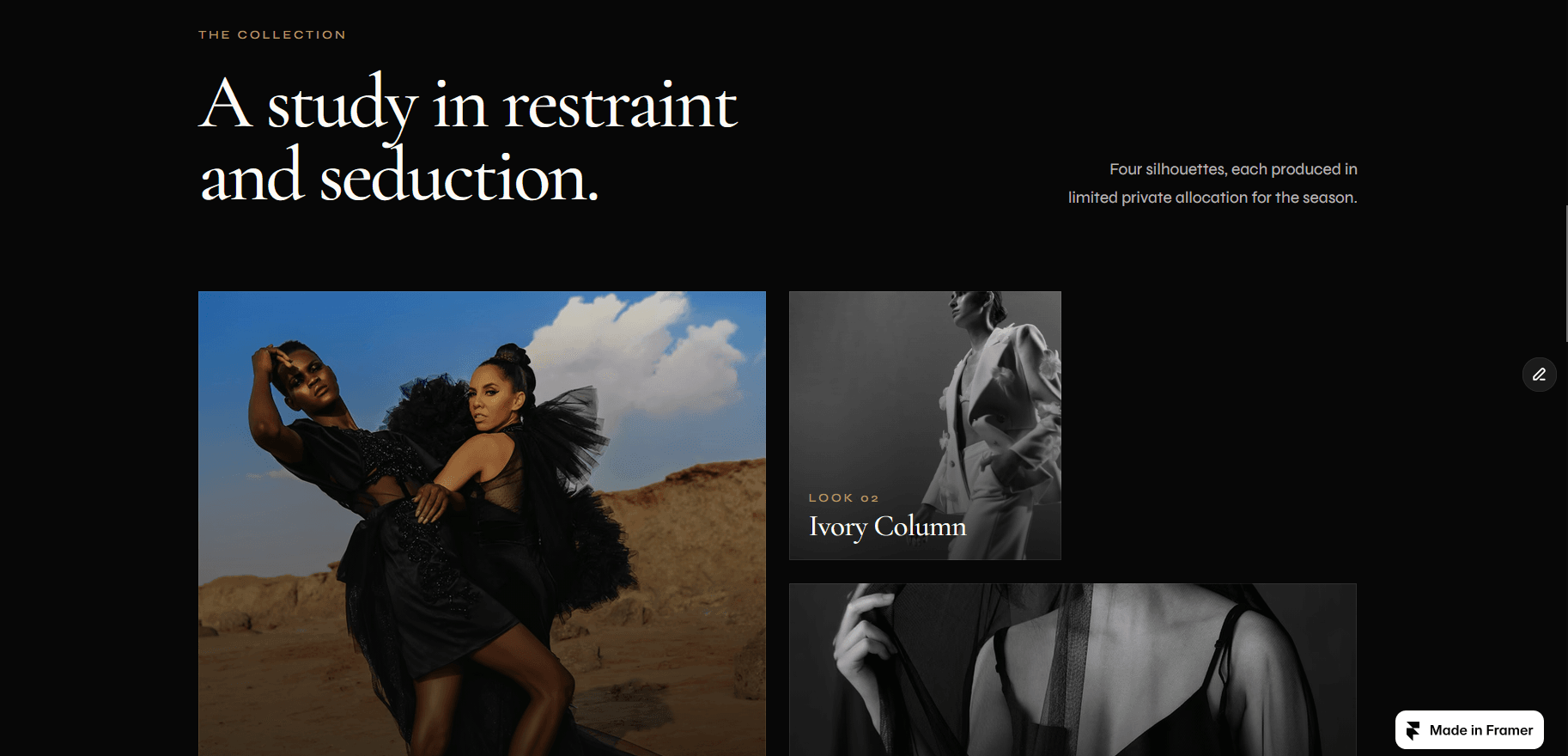 Maison Noir — Luxury