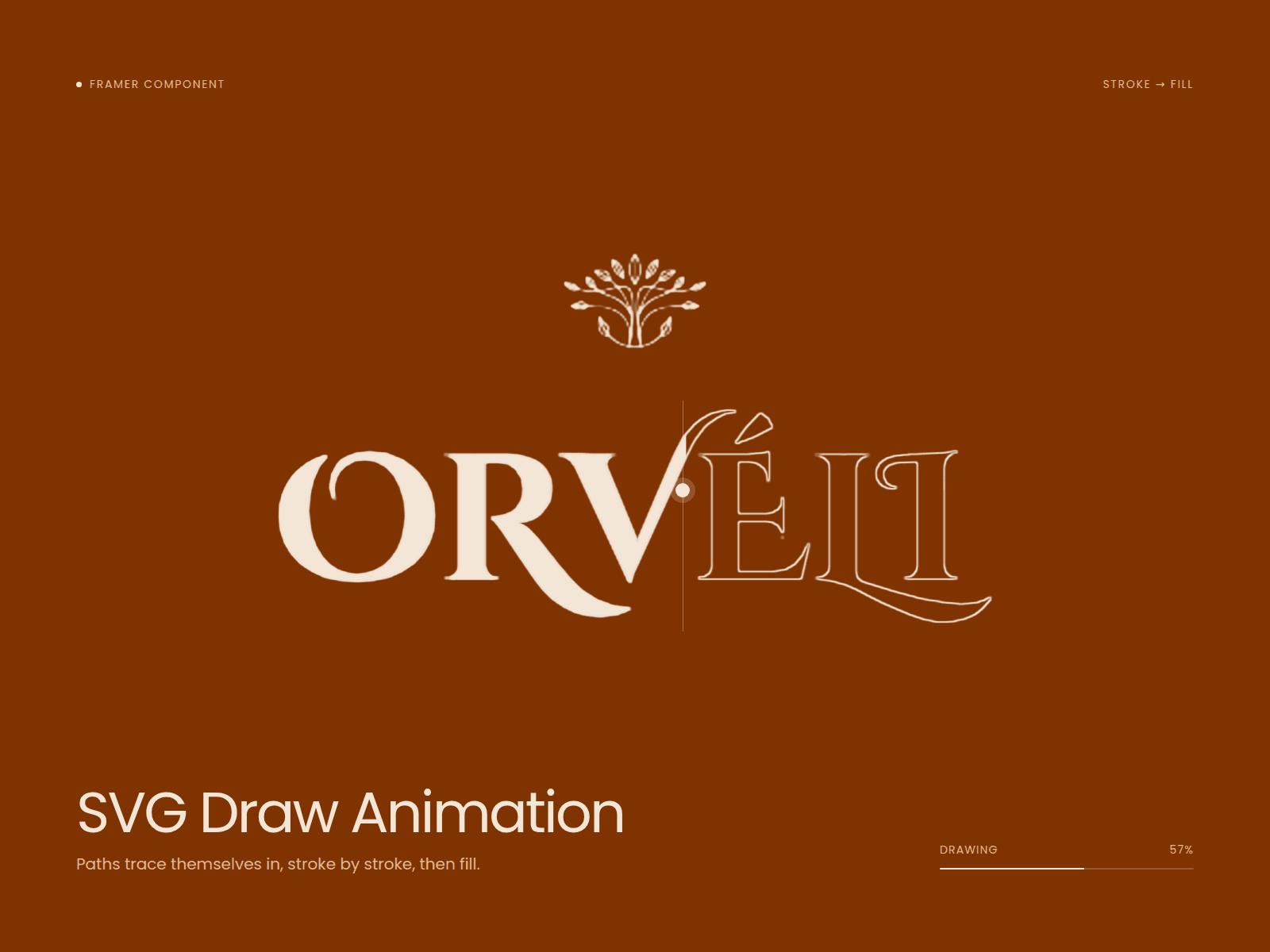 Svg Draw Animation