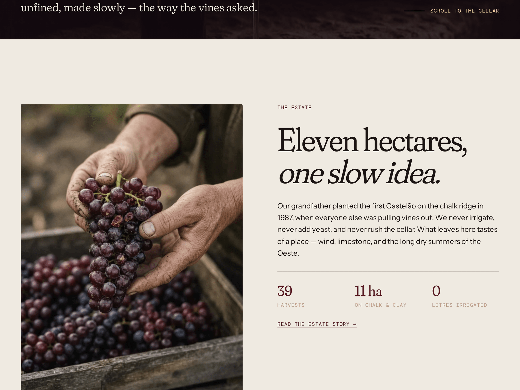 Cellar & Vine