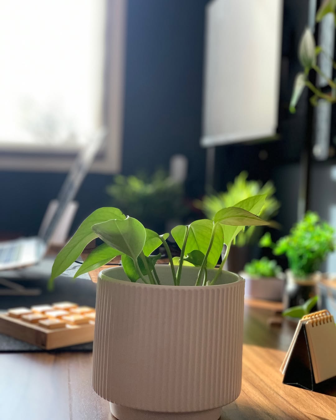 Where all the magic happens ✨This is where messy ideas turn into polished Framer websites, one frame and one coffee at a time ☕Workspace lovers, what is the one thing on your desk you cannot work without?Show me your setup 👇#DeskSetup #WorkspaceSetup #Framer