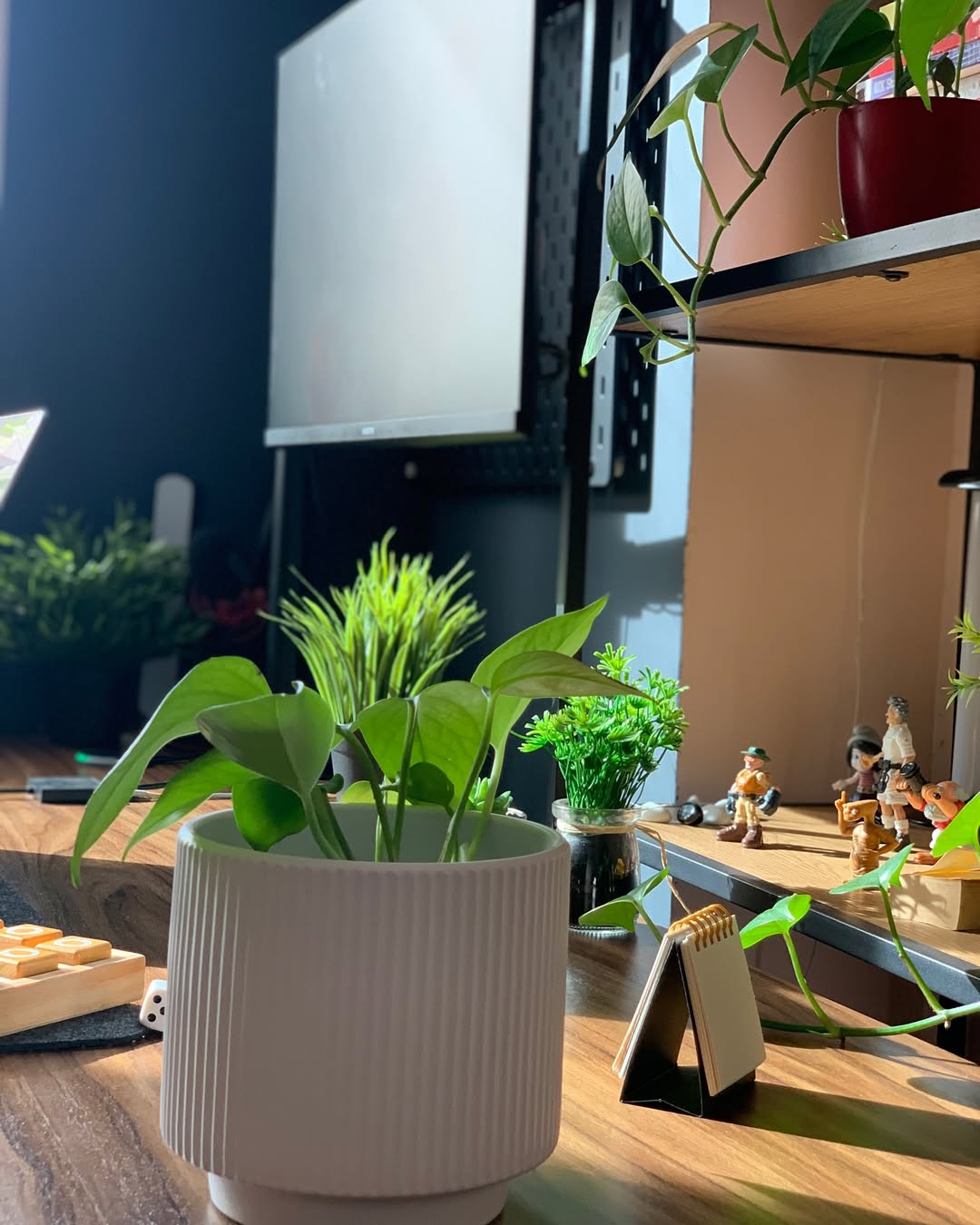 Where all the magic happens ✨This is where messy ideas turn into polished Framer websites, one frame and one coffee at a time ☕Workspace lovers, what is the one thing on your desk you cannot work without?Show me your setup 👇#DeskSetup #WorkspaceSetup #Framer