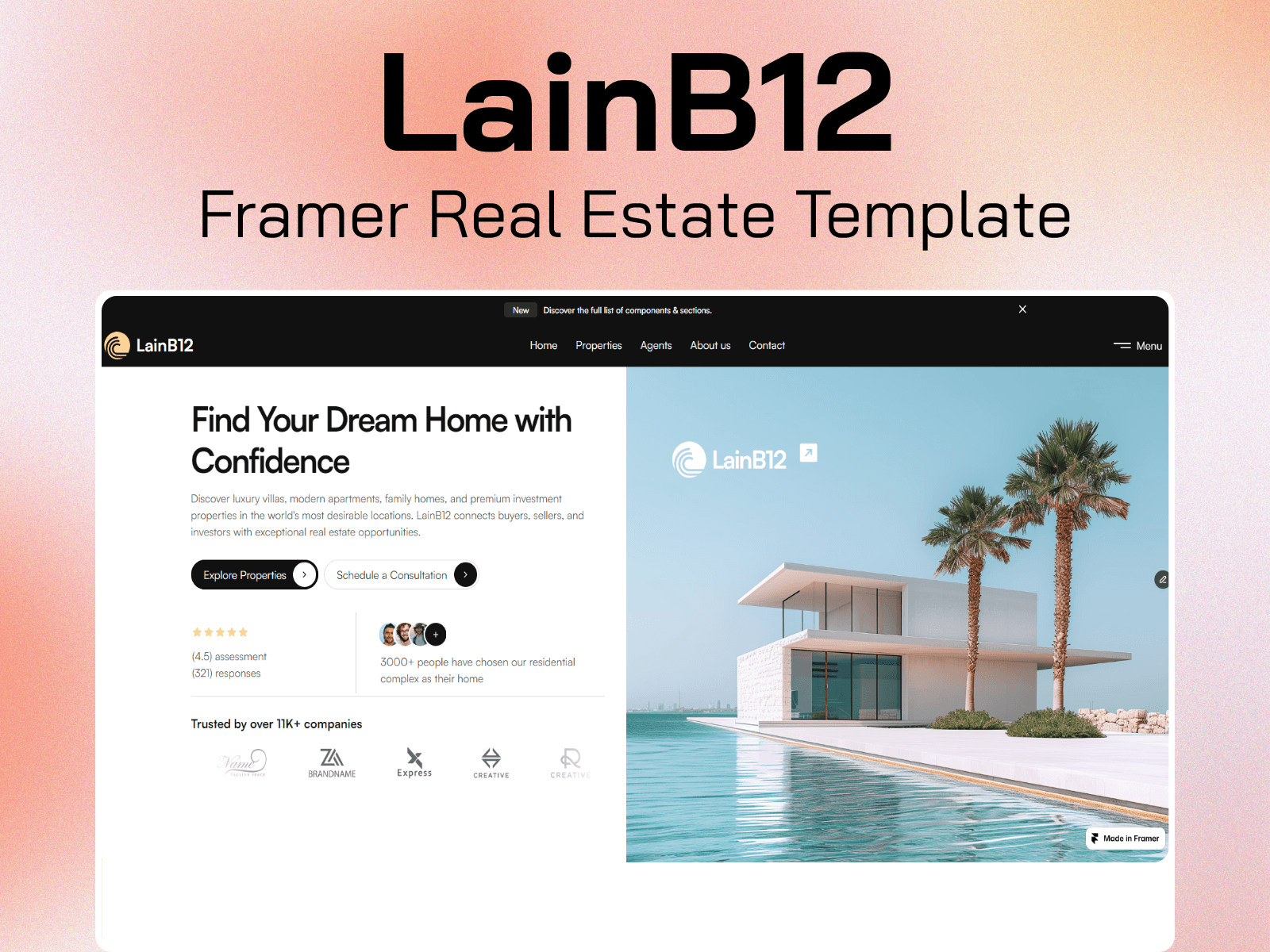 LainB12