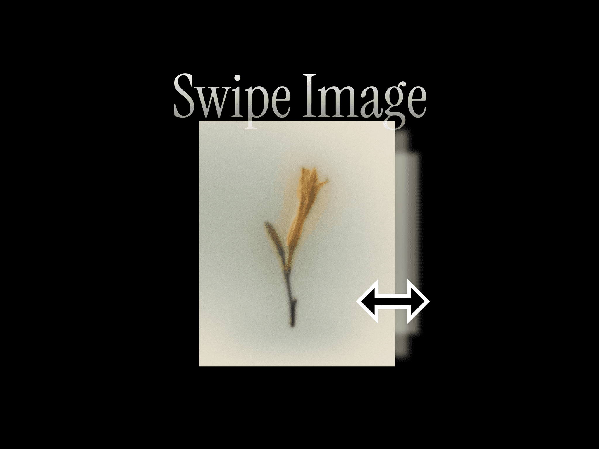 Swipe Images