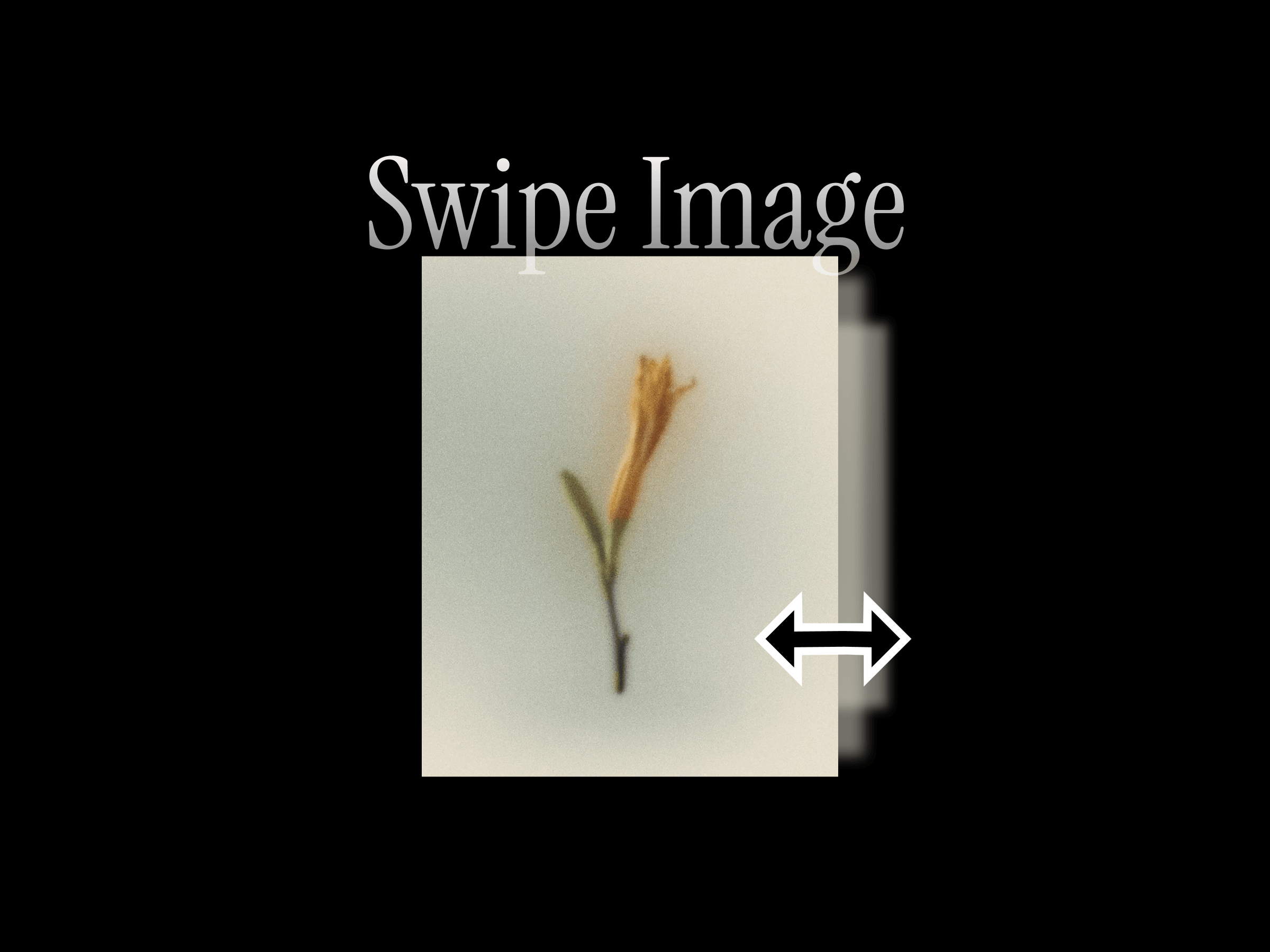Swipe Images