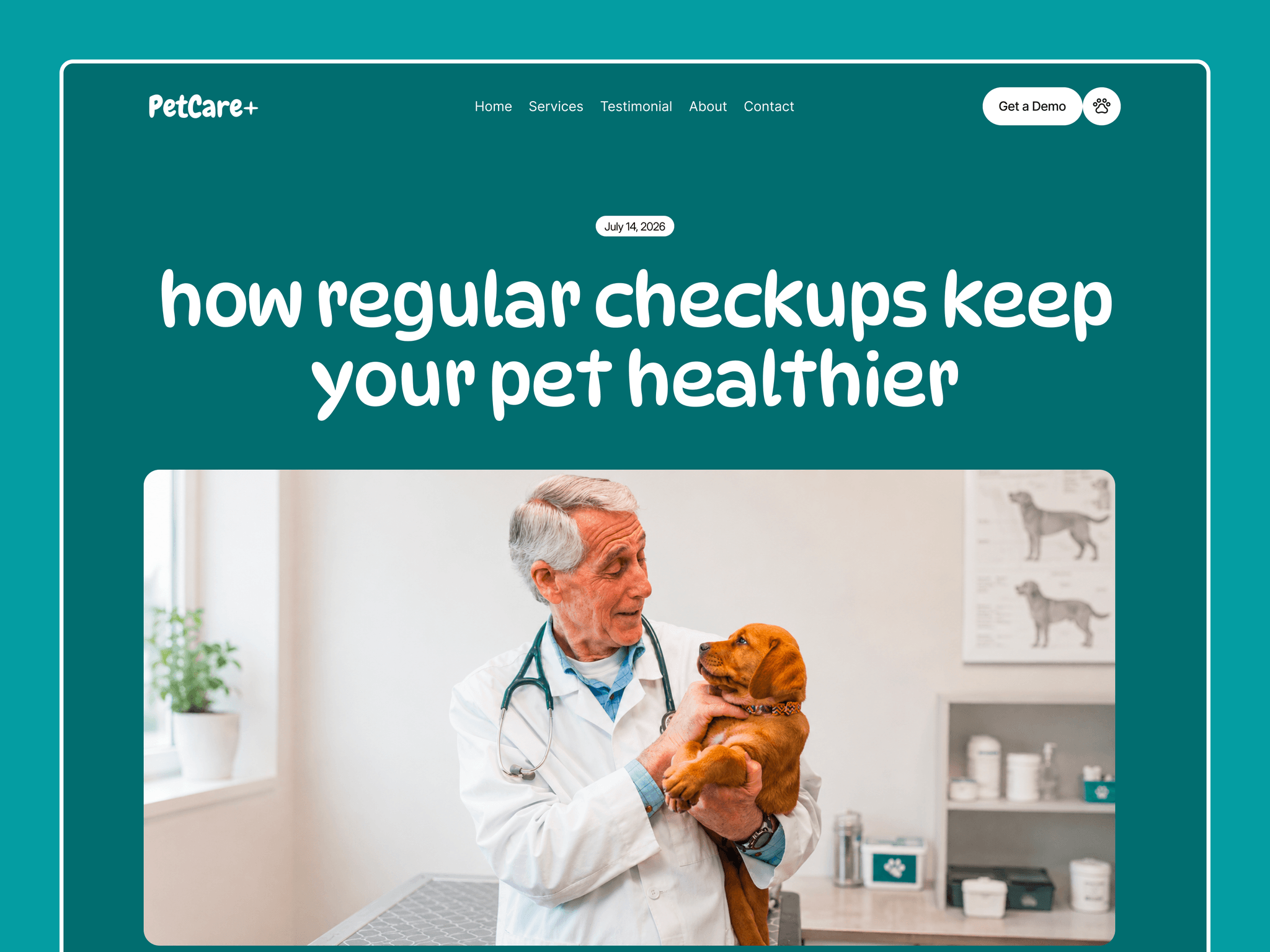 PetCare Website