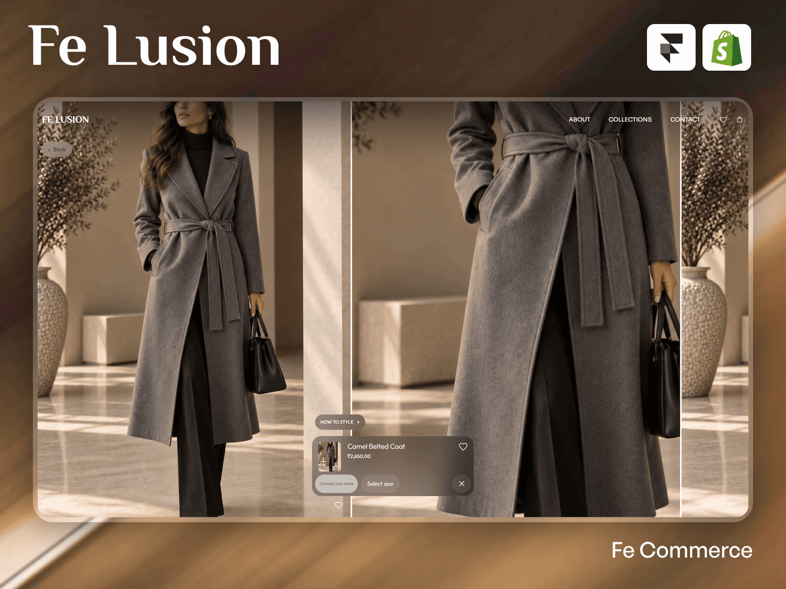 Fe Lusion