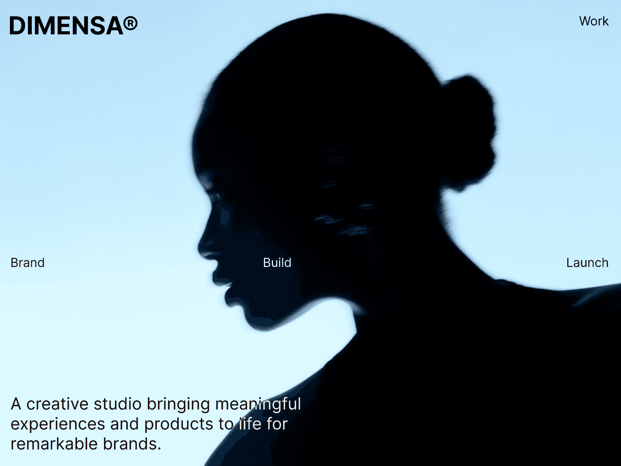 DIMENSA®