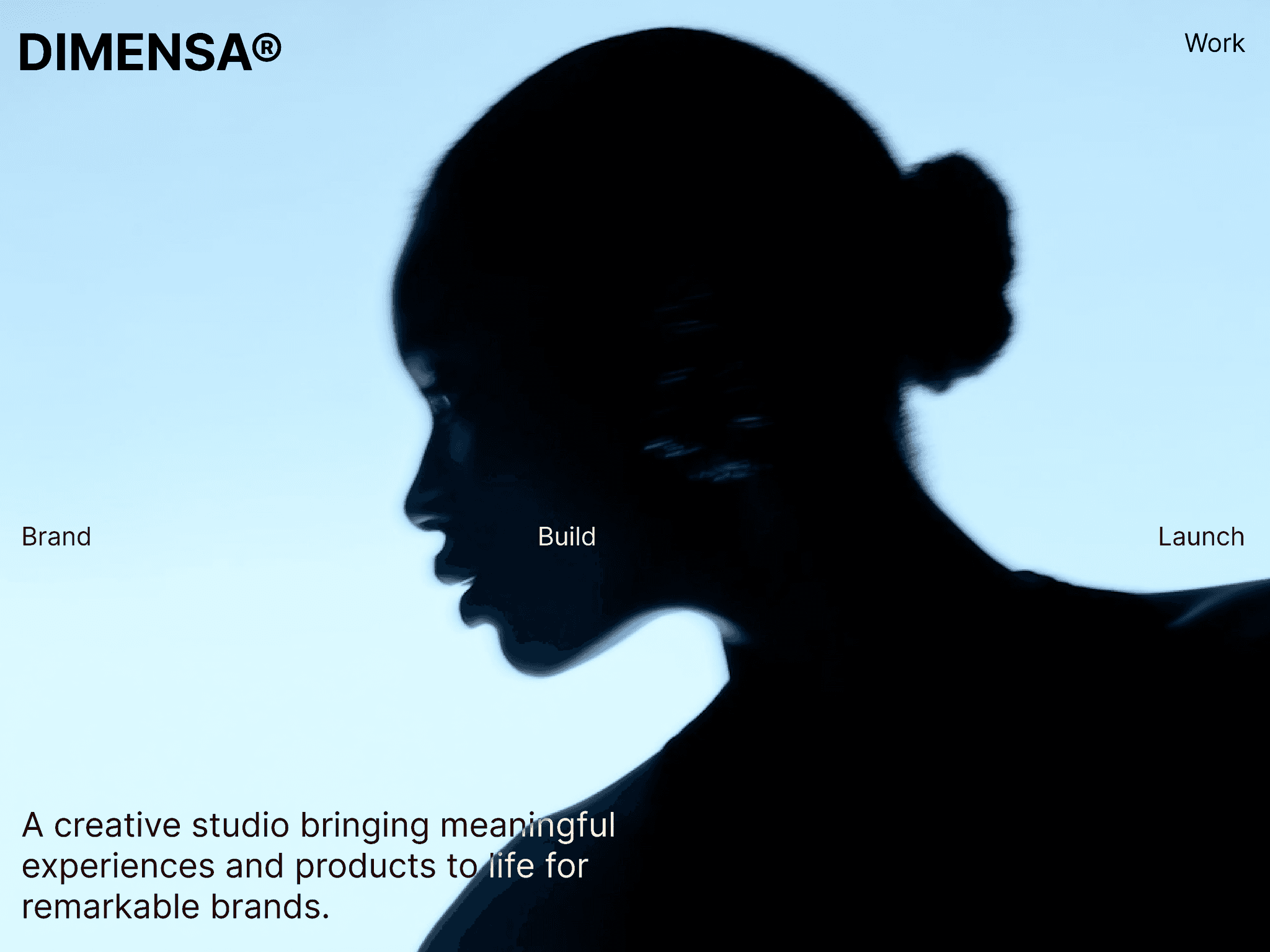 DIMENSA®