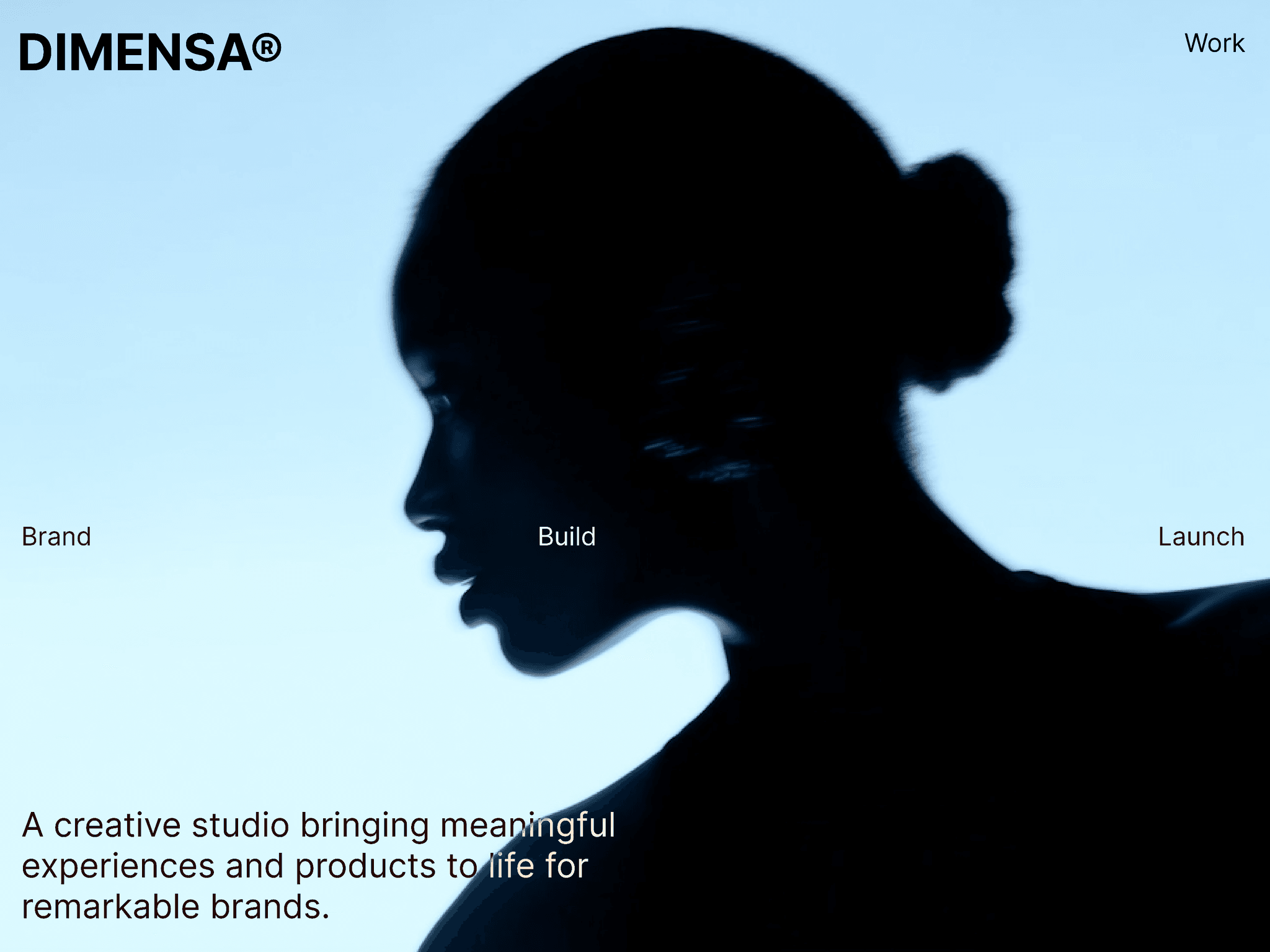 DIMENSA®