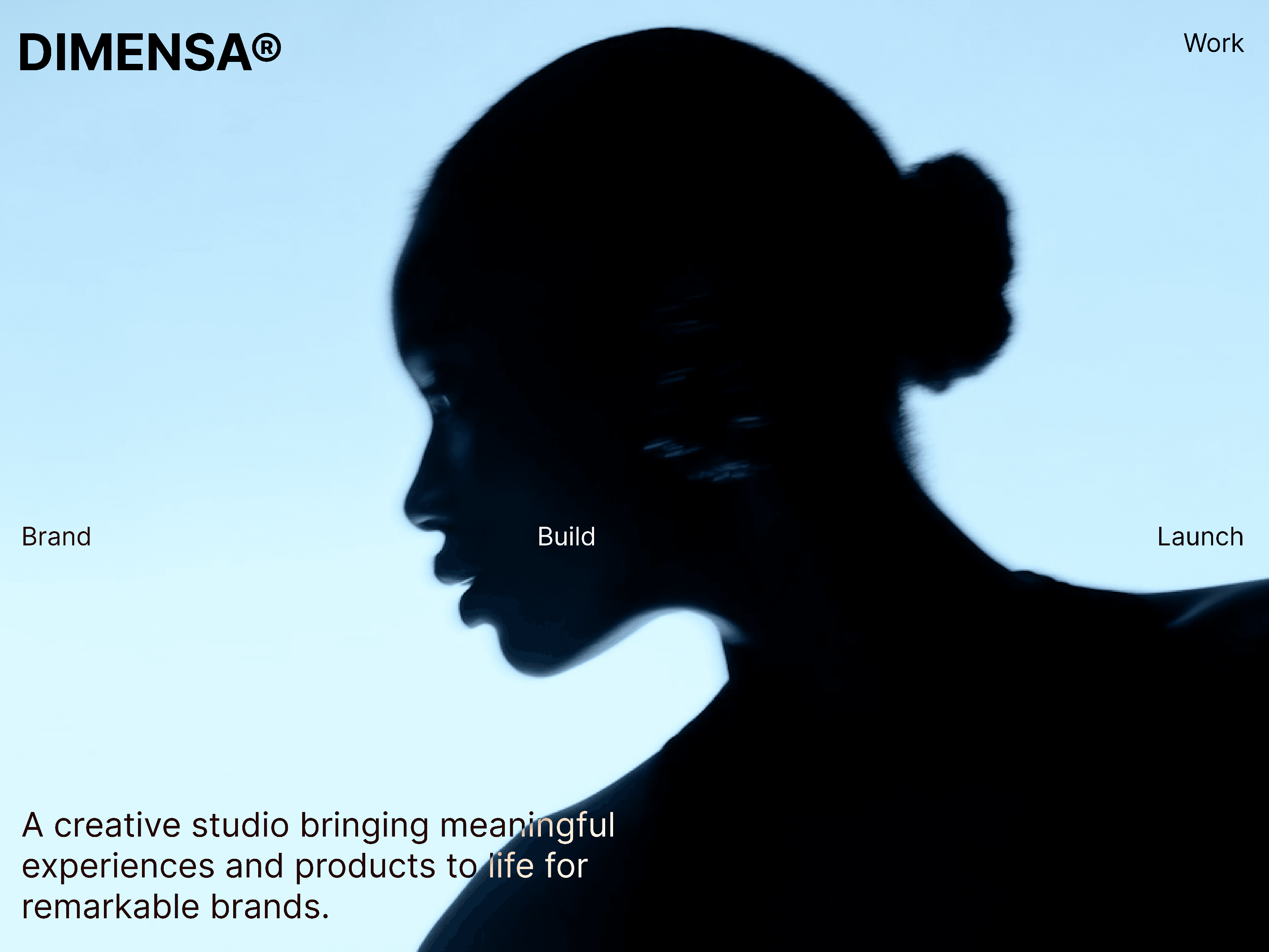 DIMENSA®