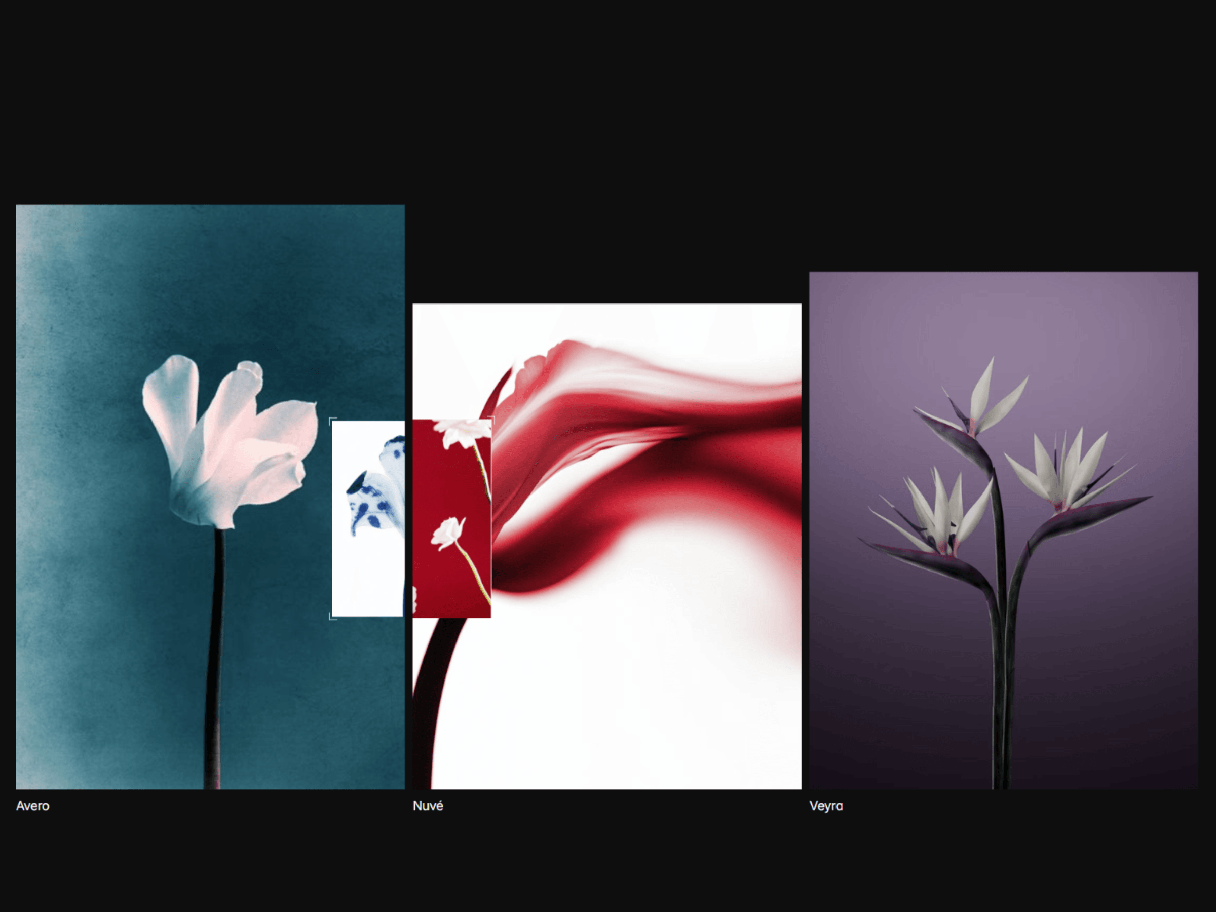 CMS Cursor Preview