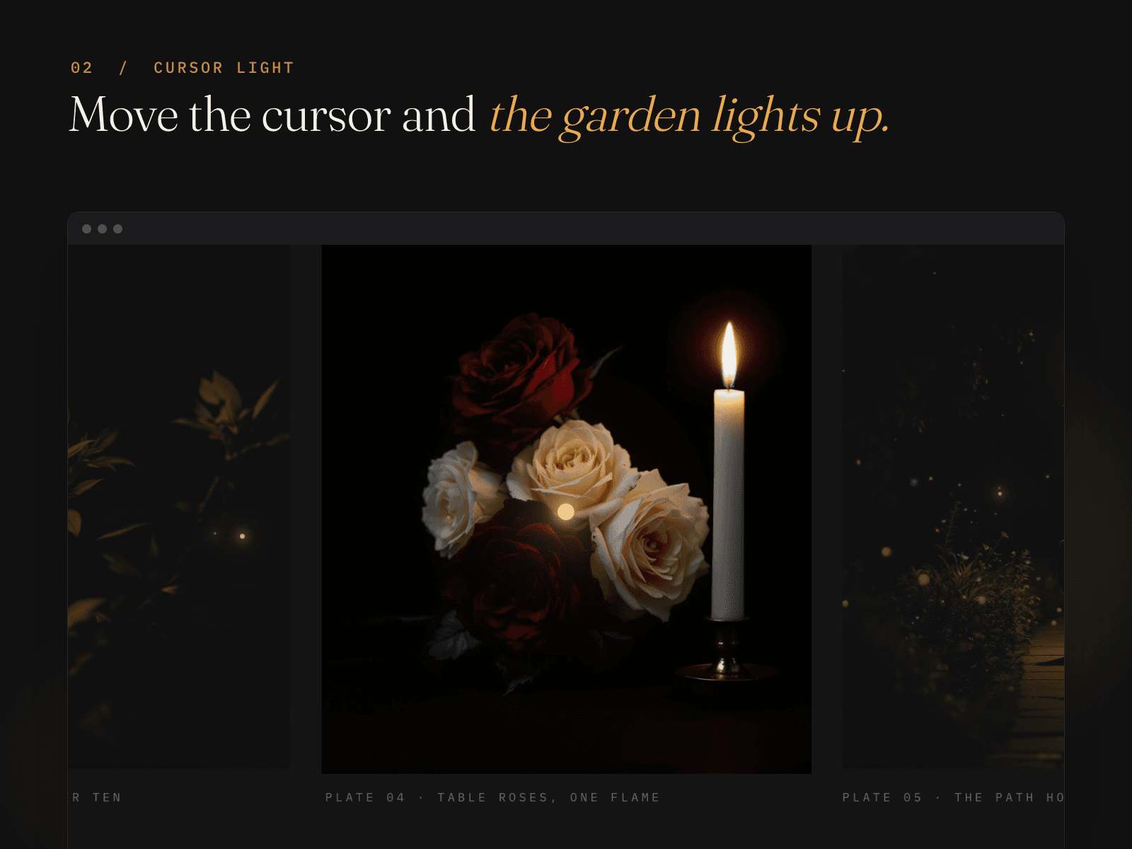 The Night Garden