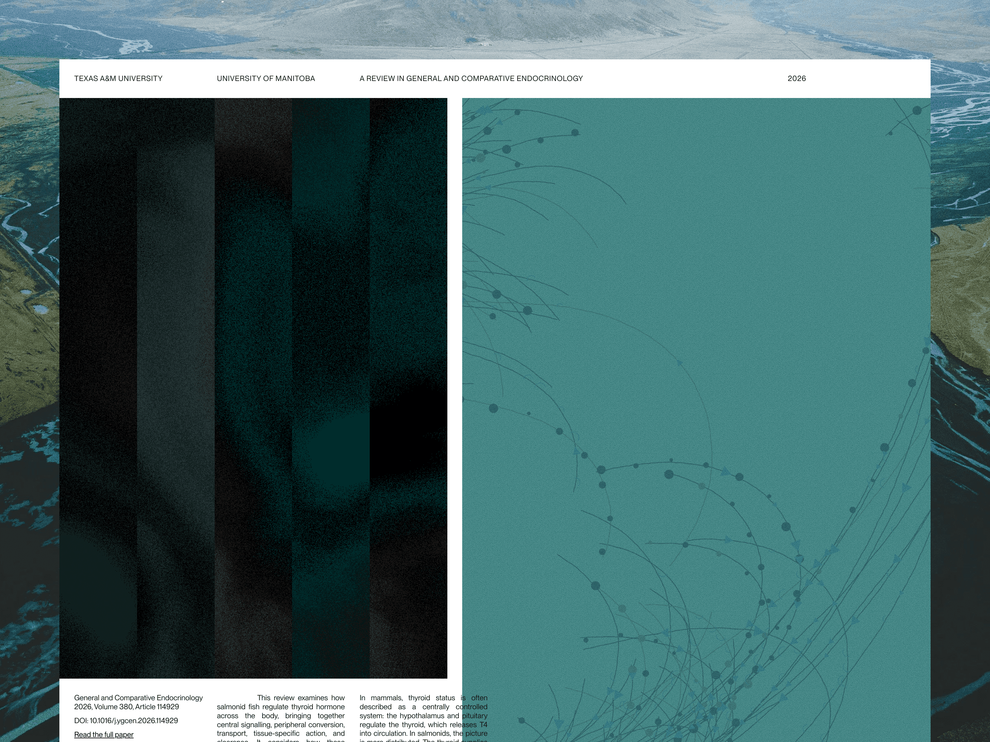 Distributed Signals