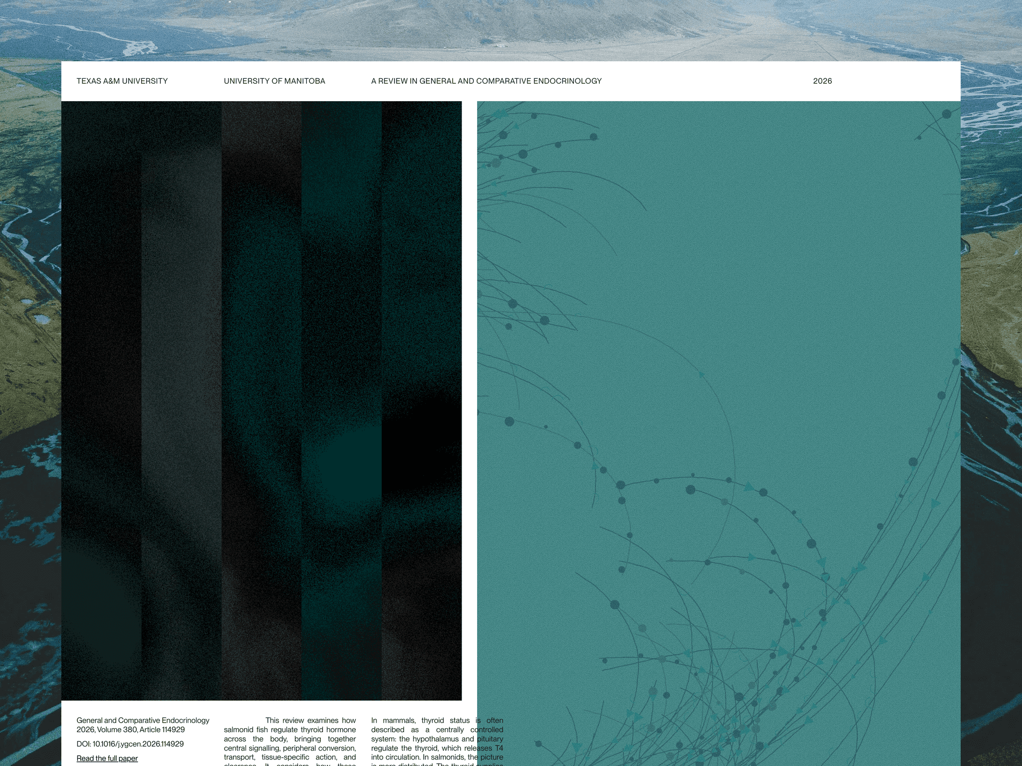 Distributed Signals