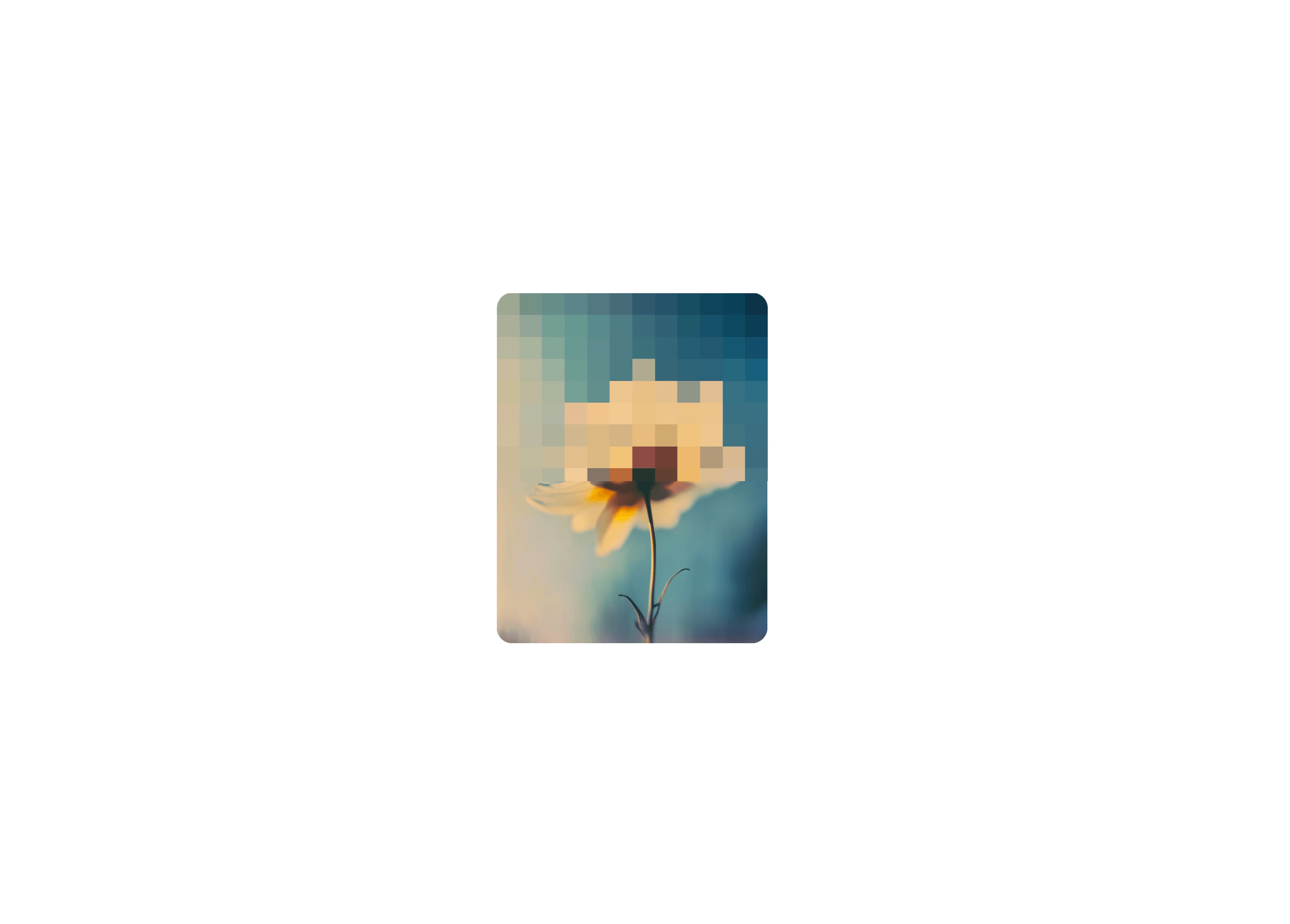 Image Pixel Loader