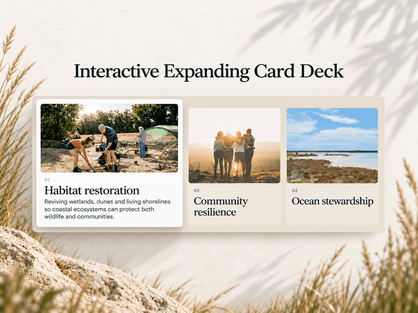 FocusFold Cards