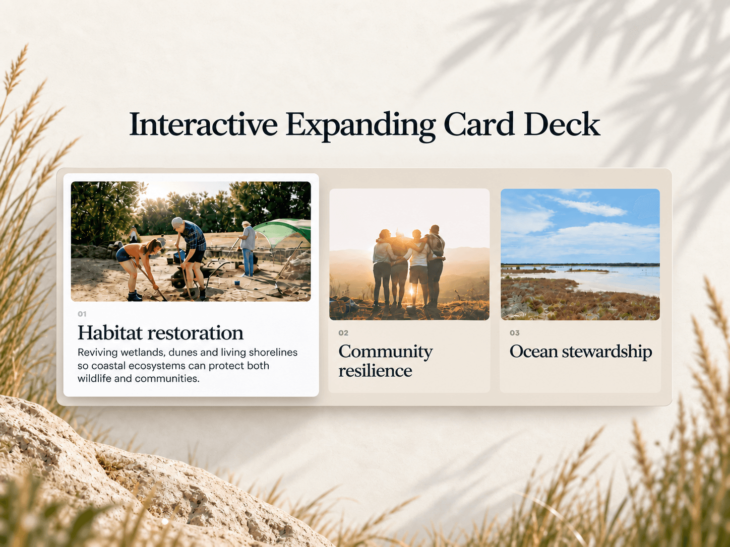 FocusFold Cards