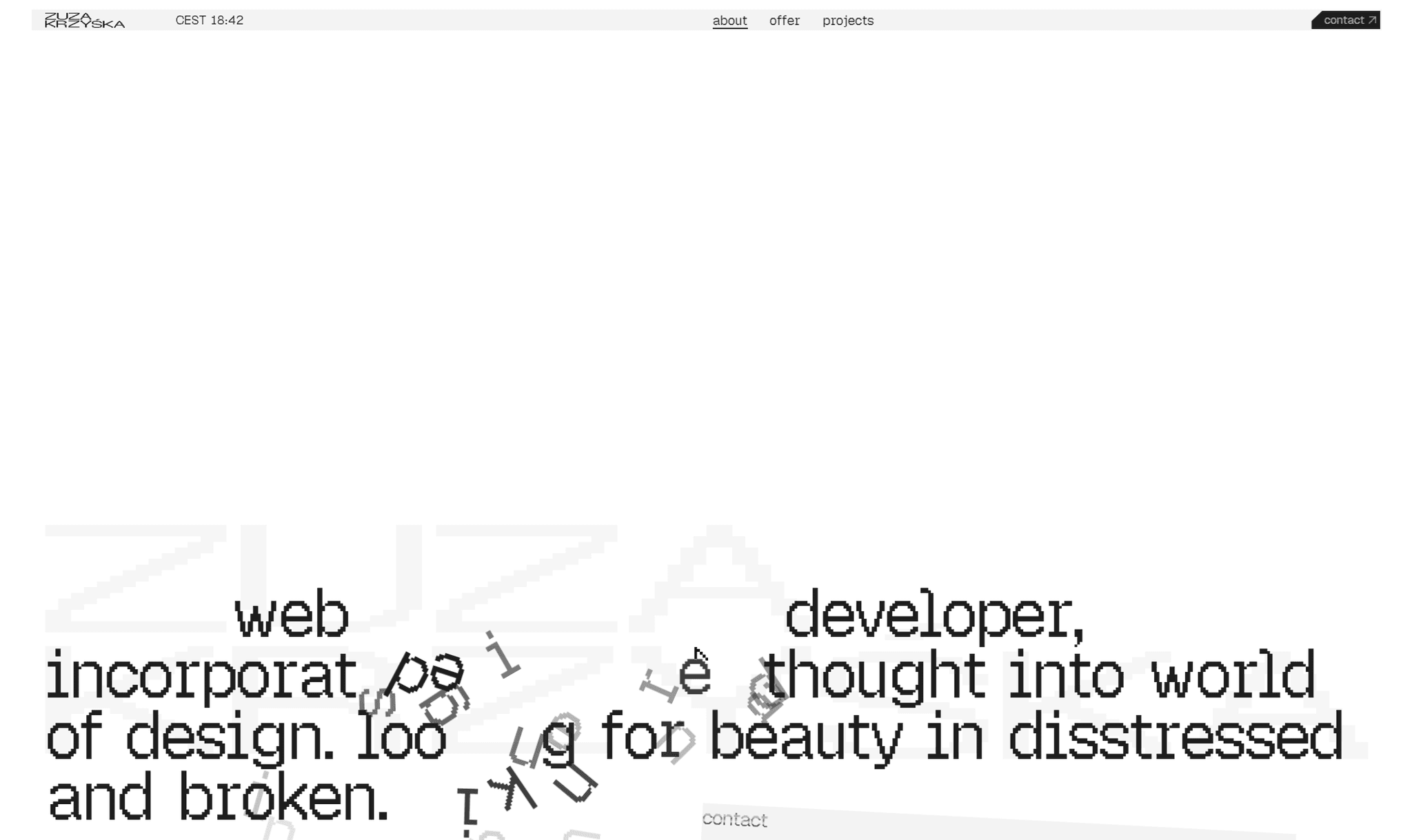 zuza portfolio