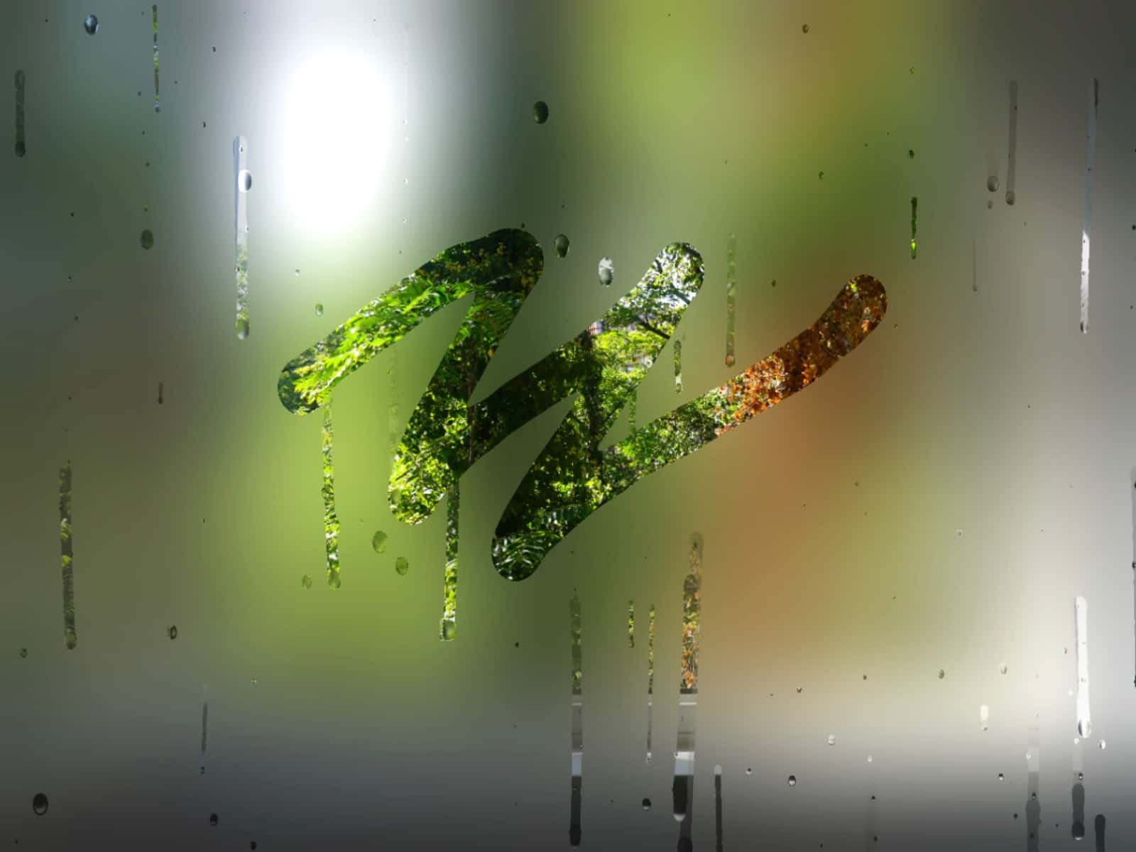Rainy Window