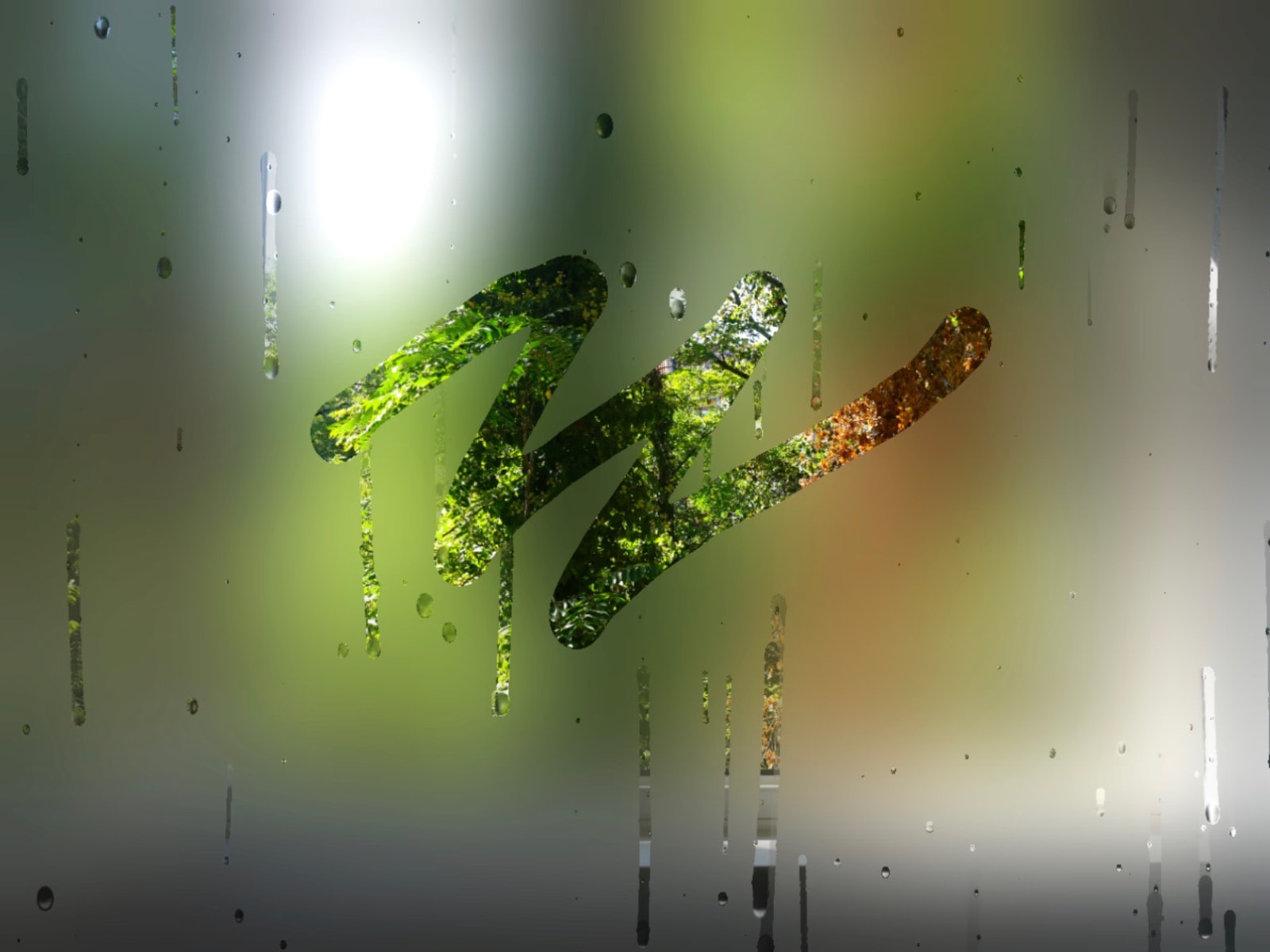 Rainy Window