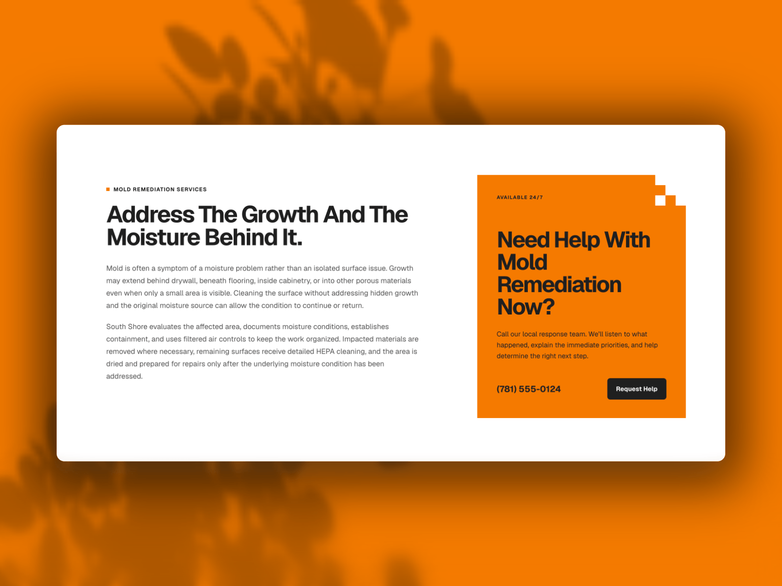 Restoration Company