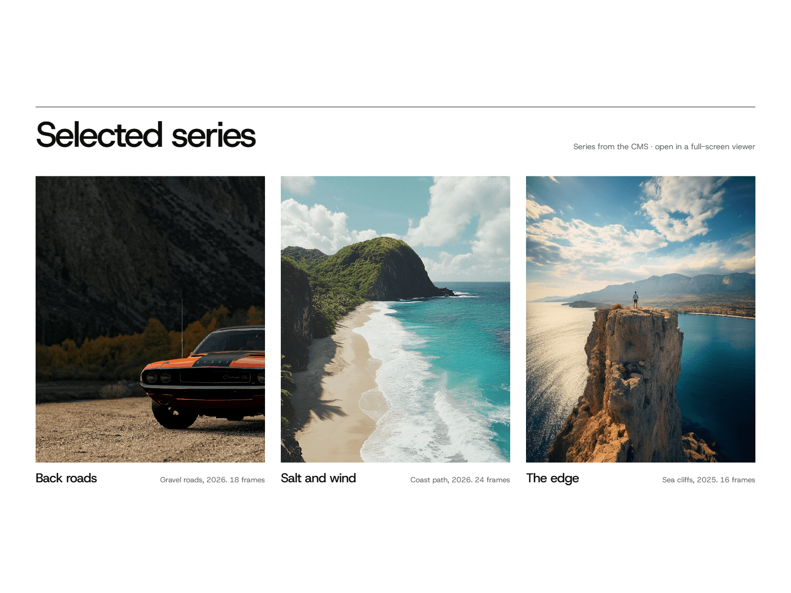 Selects Gallery