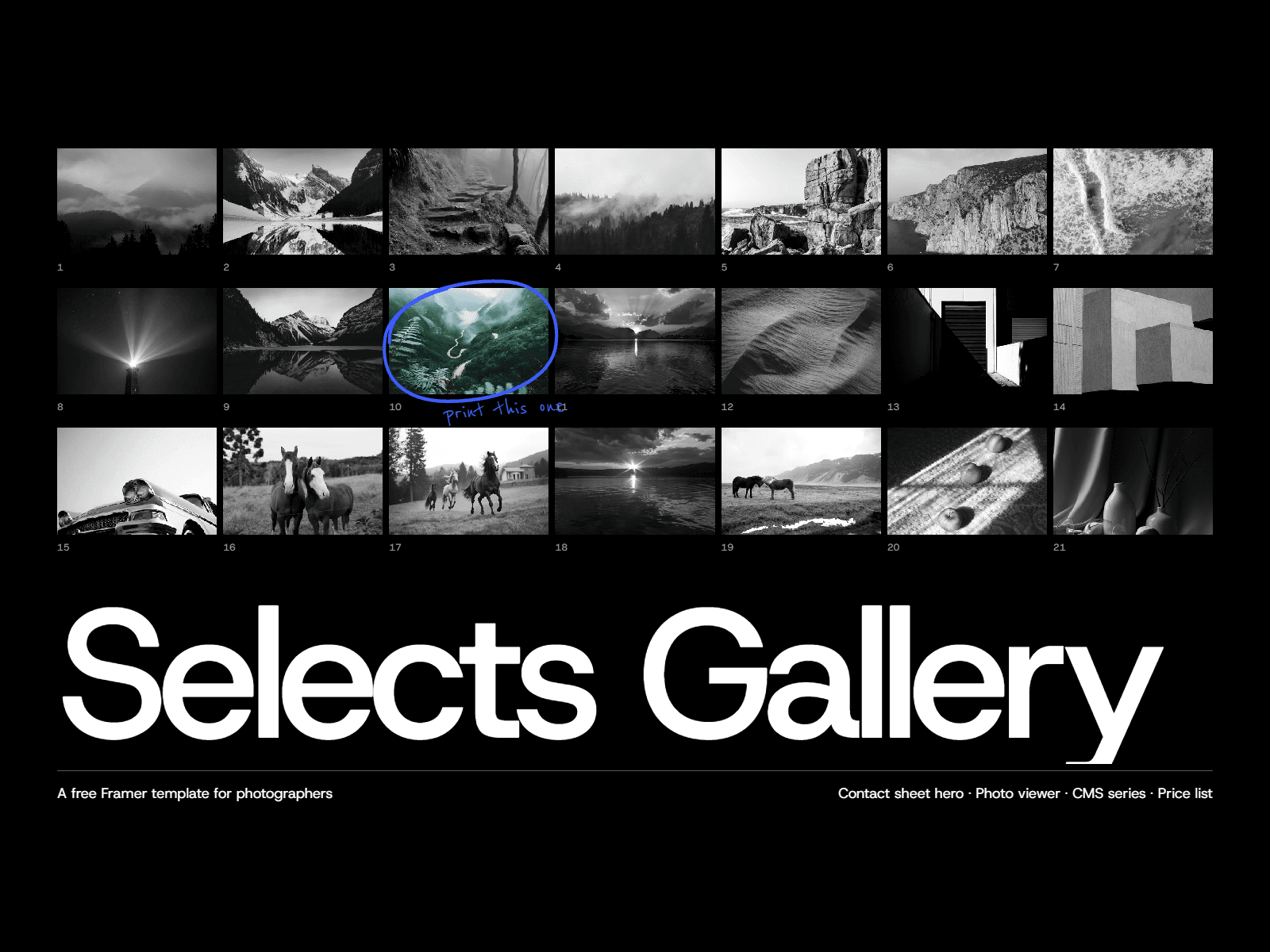 Selects Gallery
