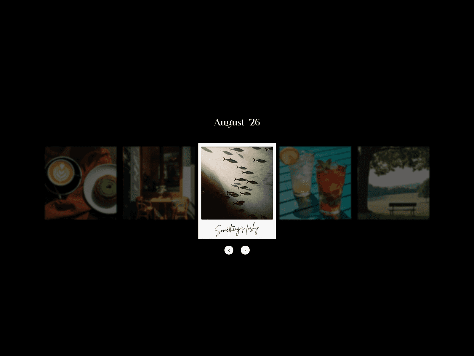Polaroid Reel