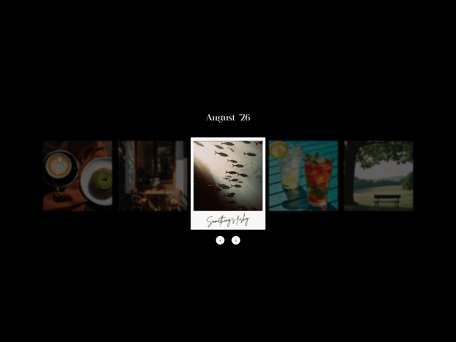 Polaroid Reel