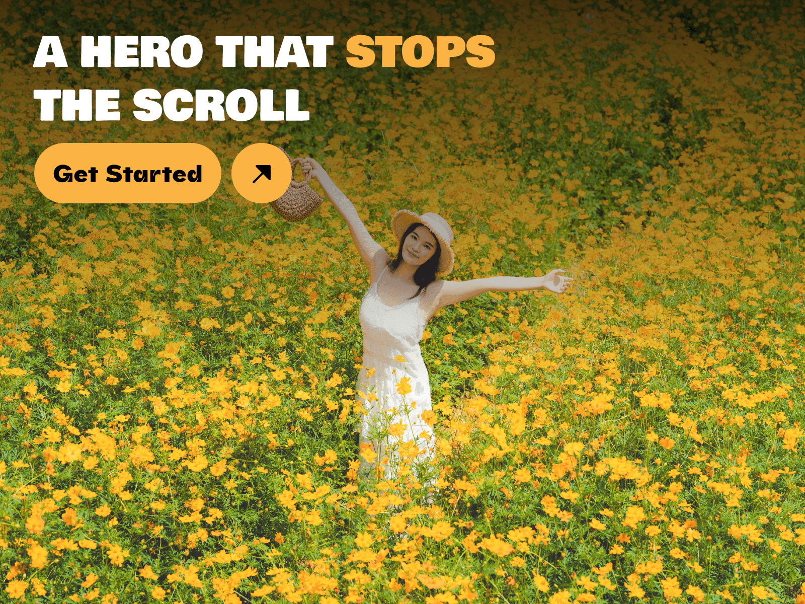 Hero Video Pro