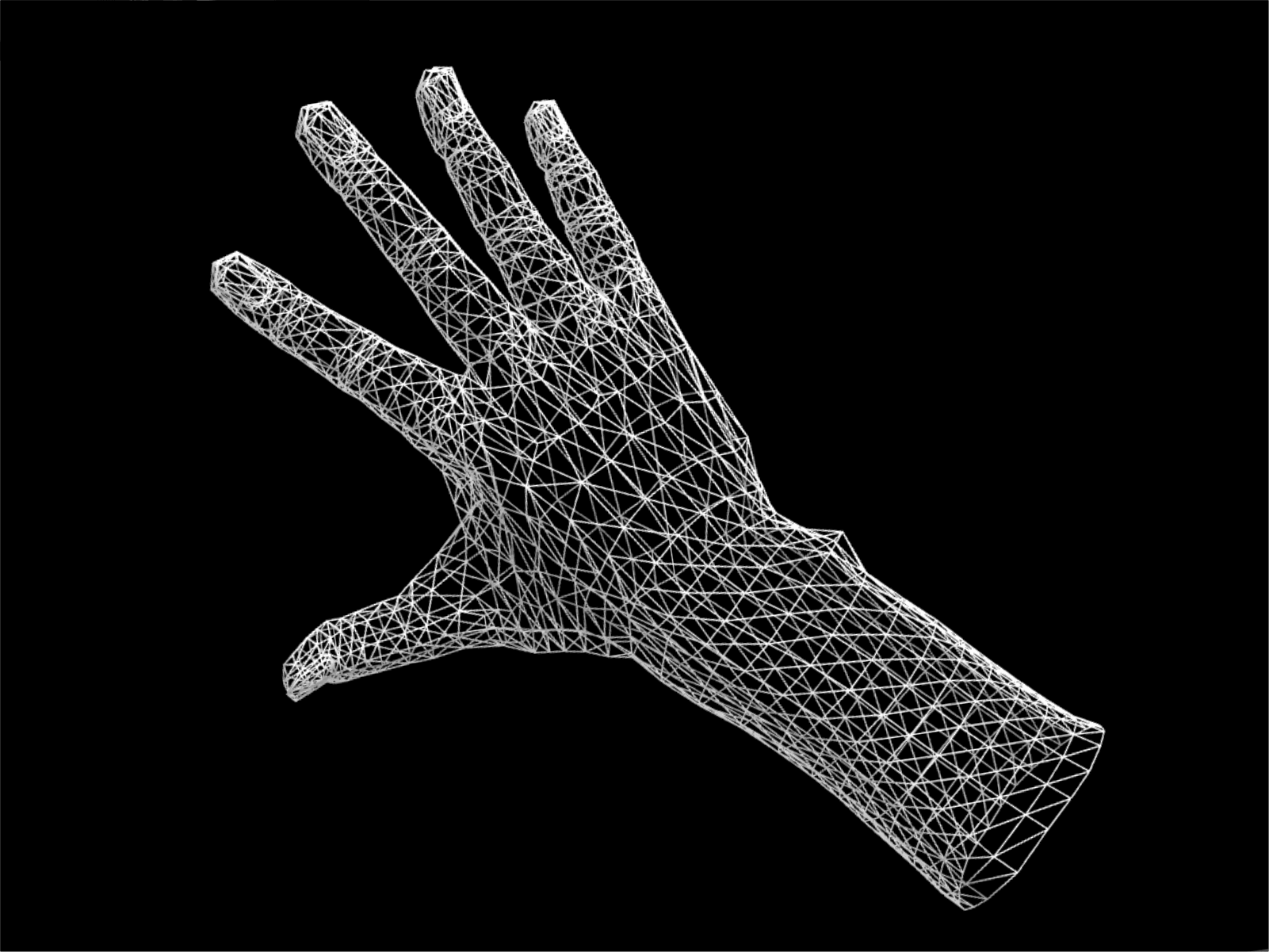 Interactive Hand