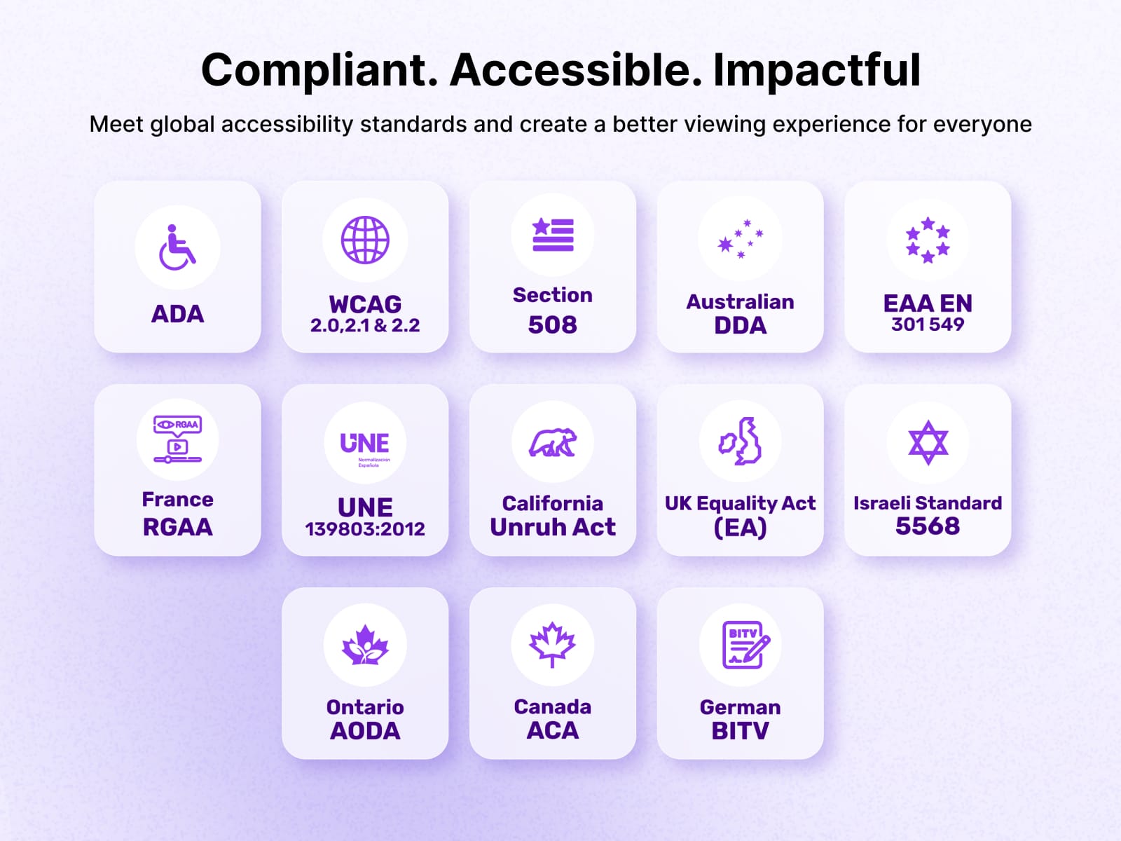 SkynetAccessibility Video Subtitle