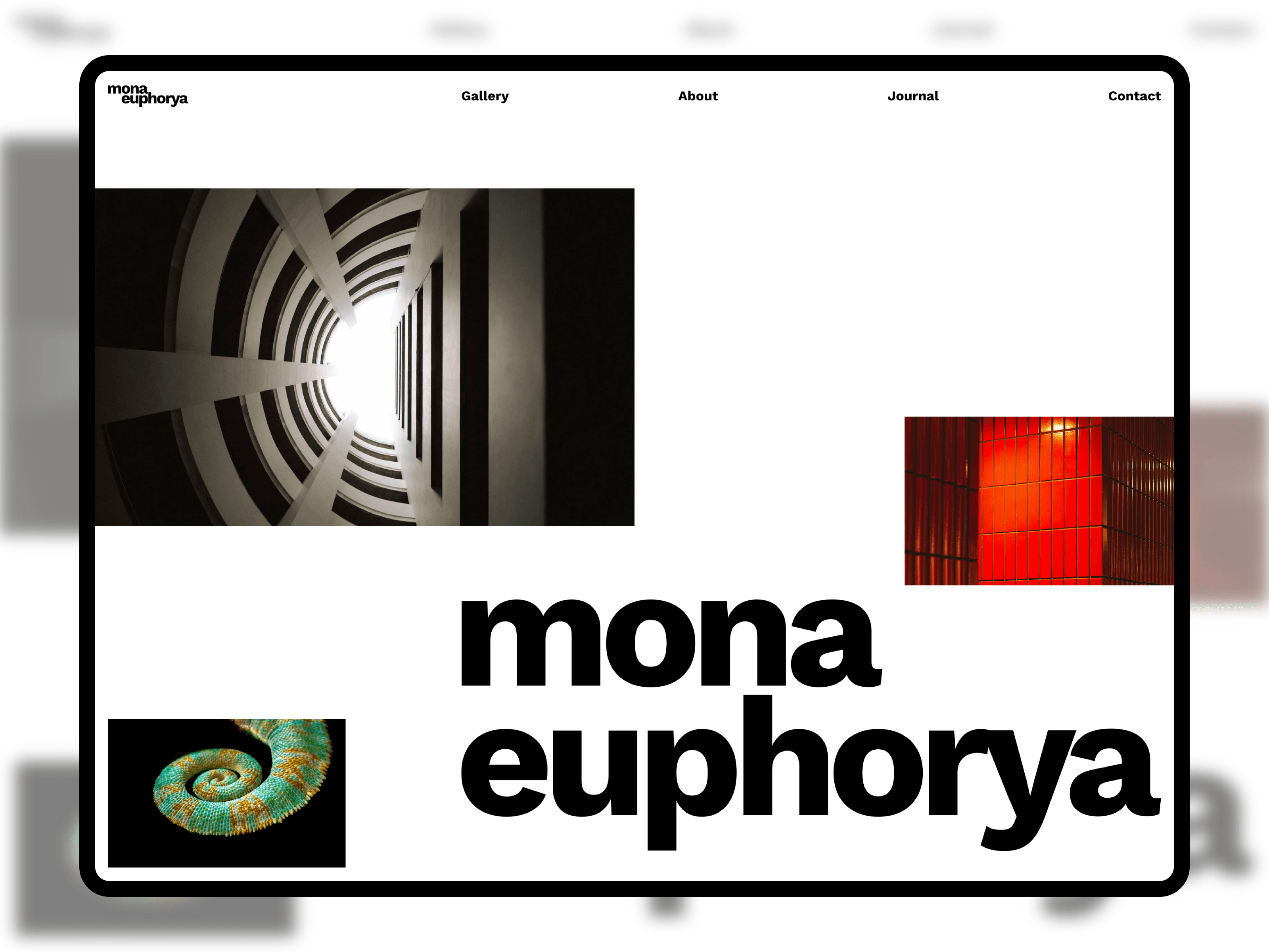 Mona Euphorya