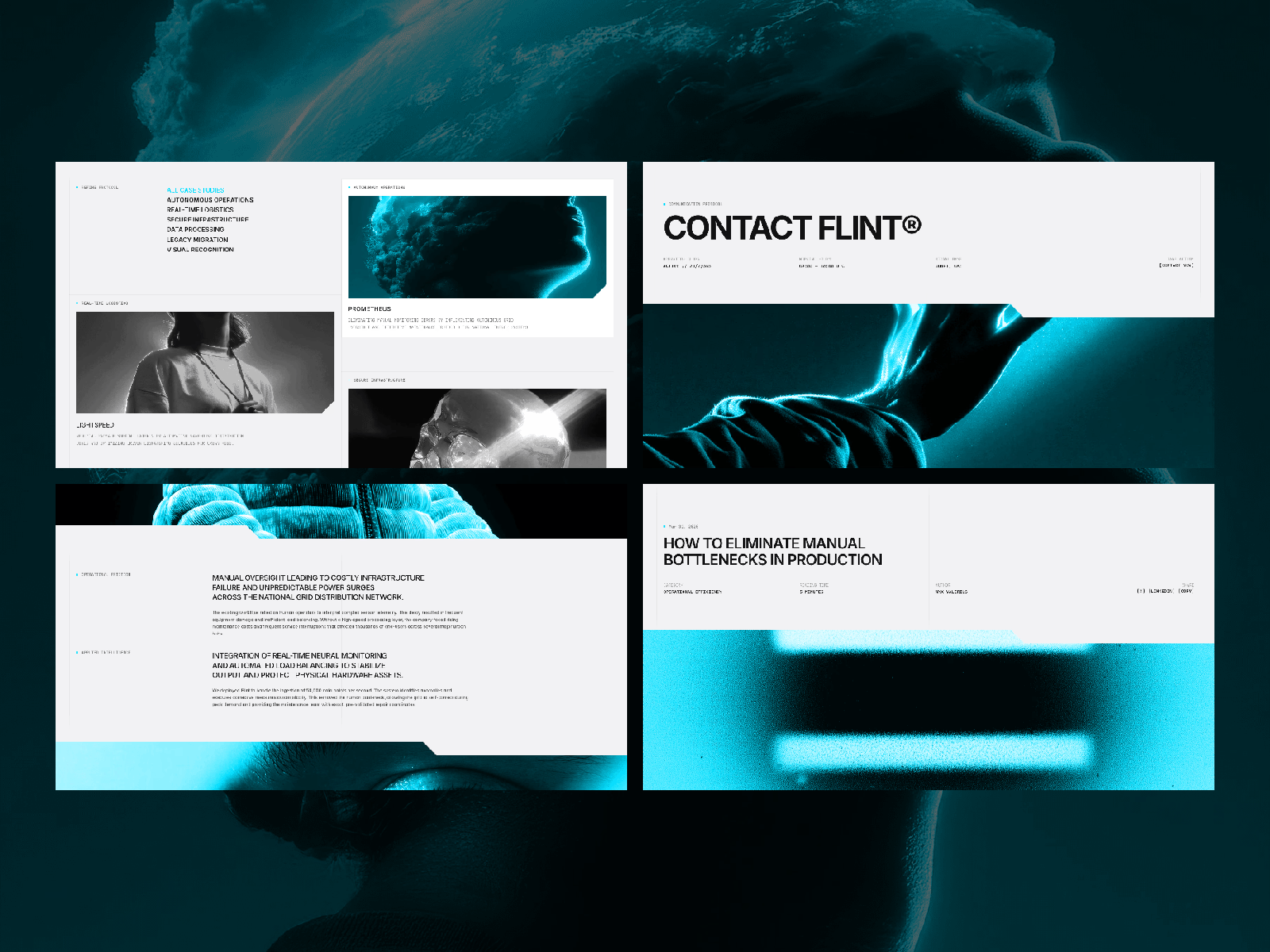 Flint Systems