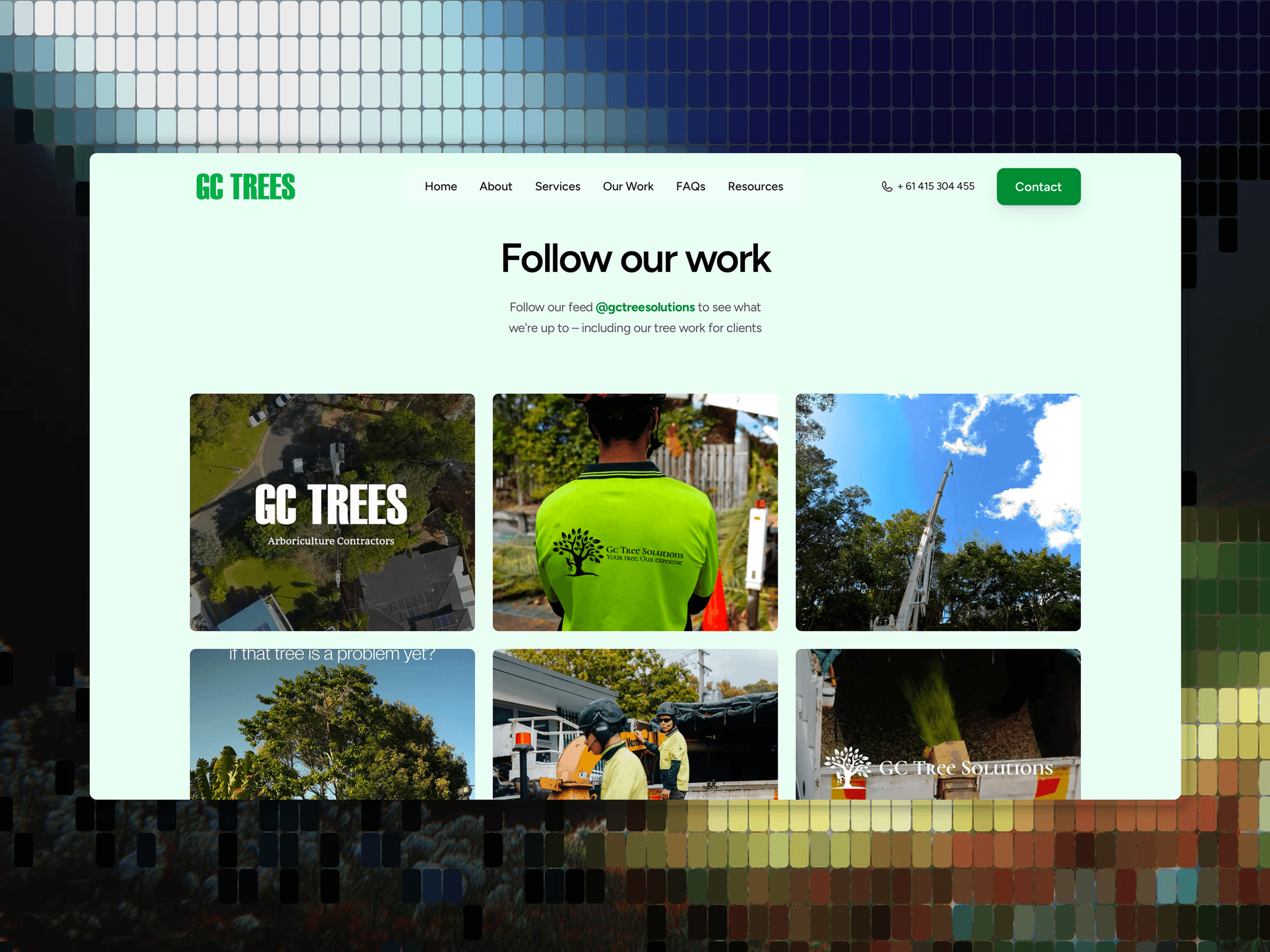 GC Trees Solutions