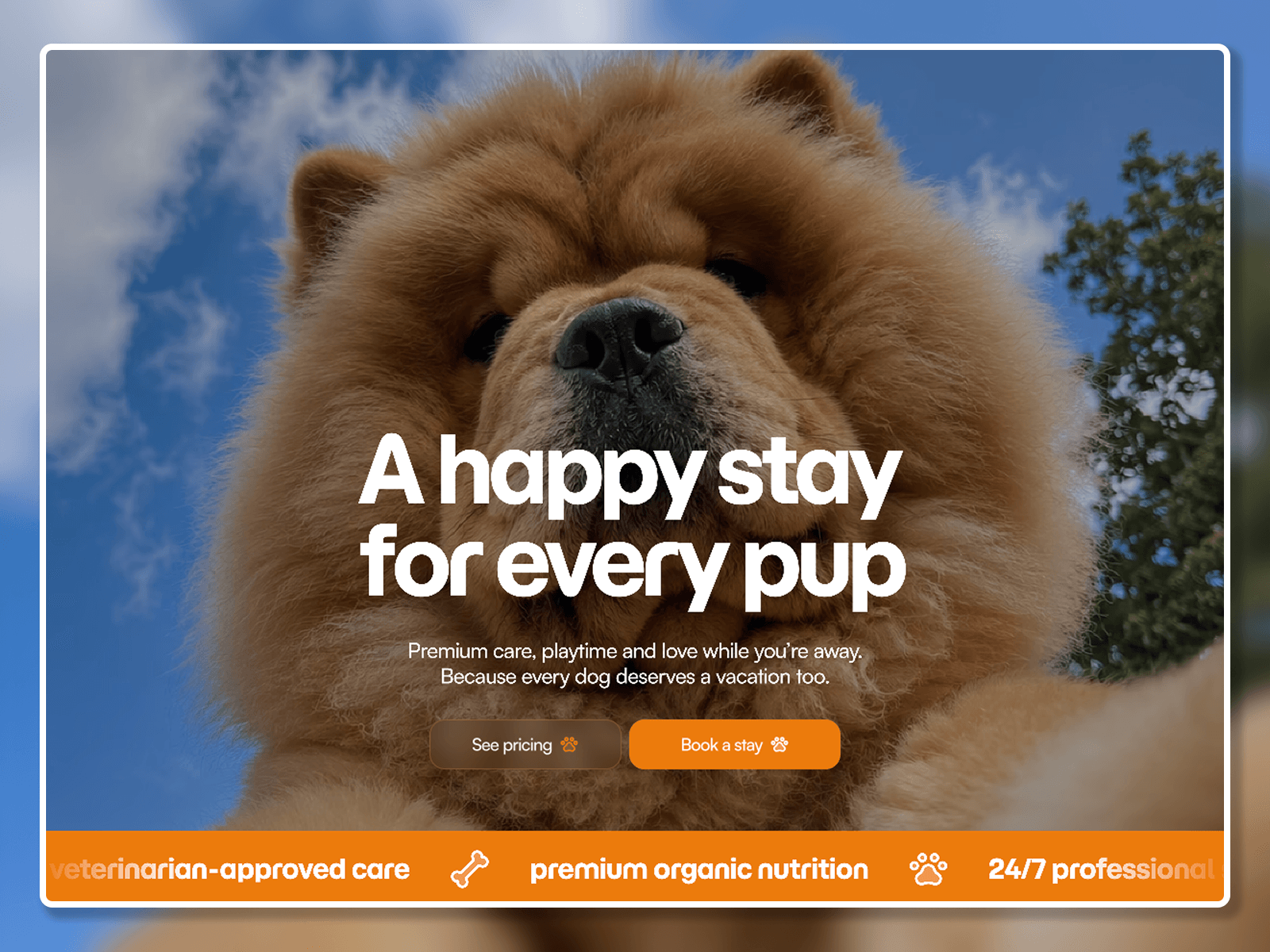 PawPaw