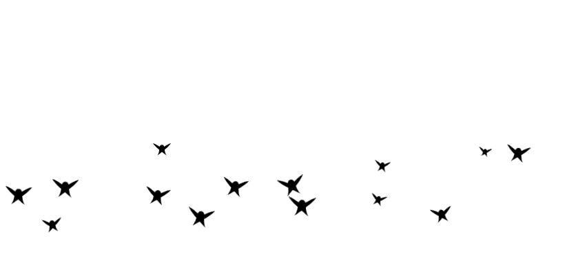 Bird Flying