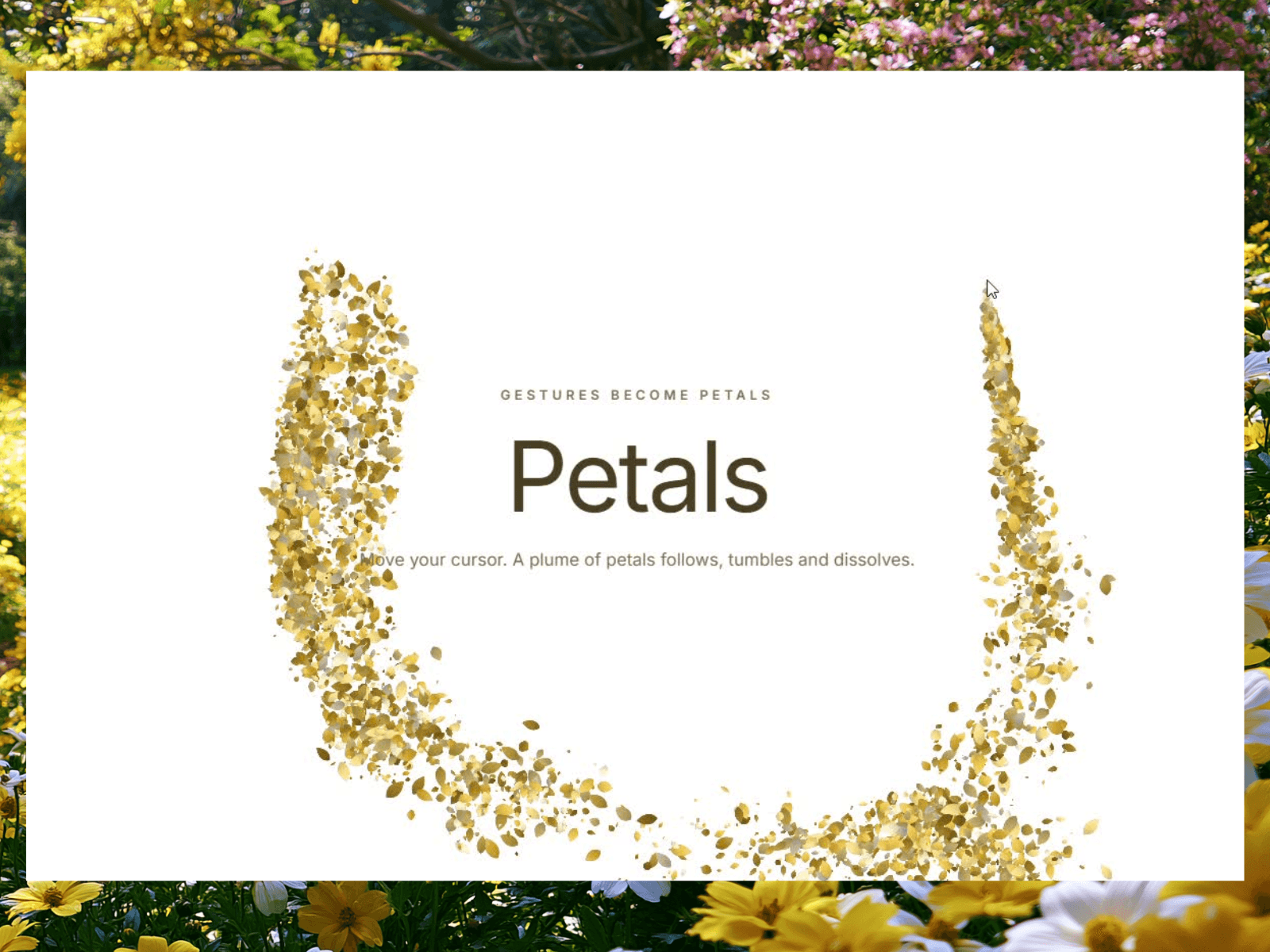 Petals