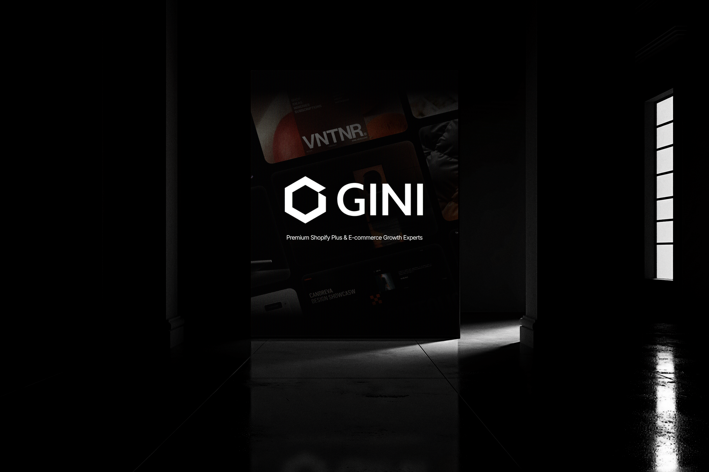 Gini Agency