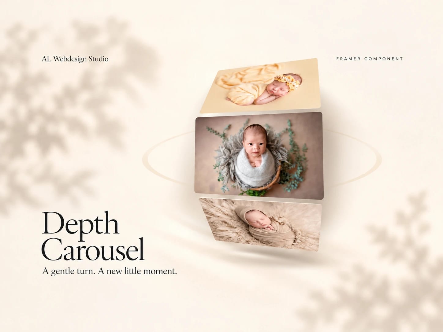 AL Depth Carousel