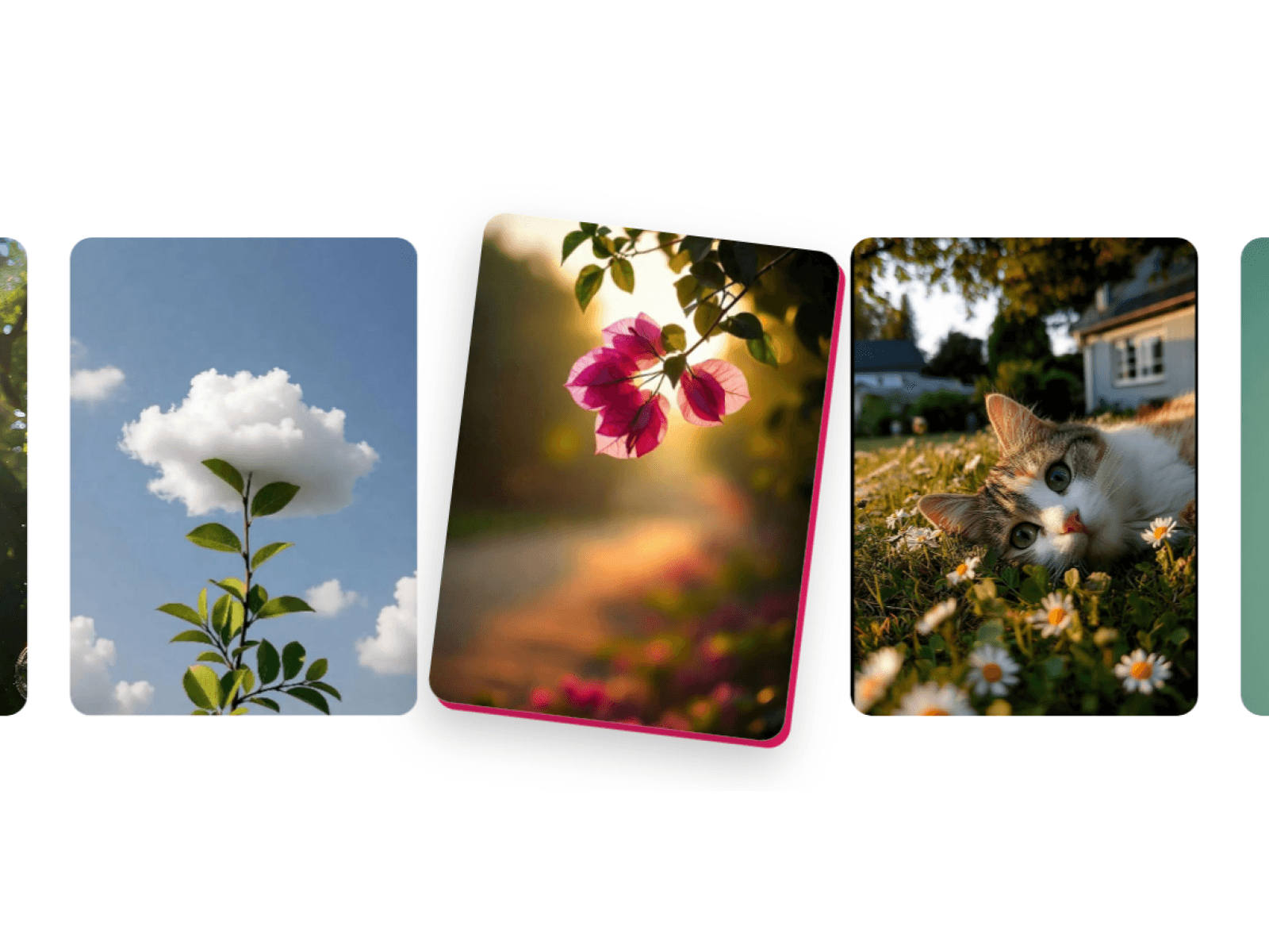Tilt Hover Gallery