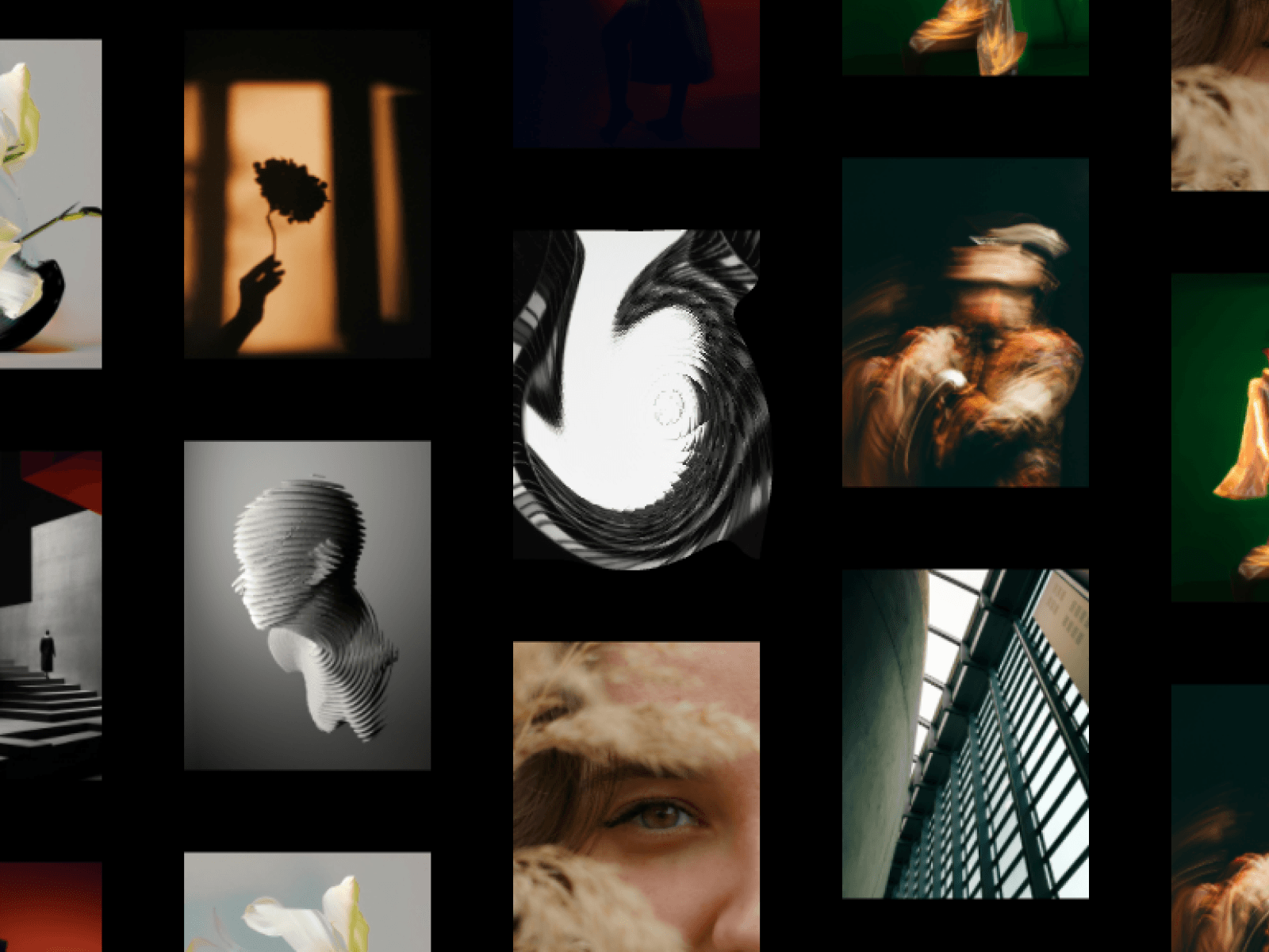 Suction Gallery