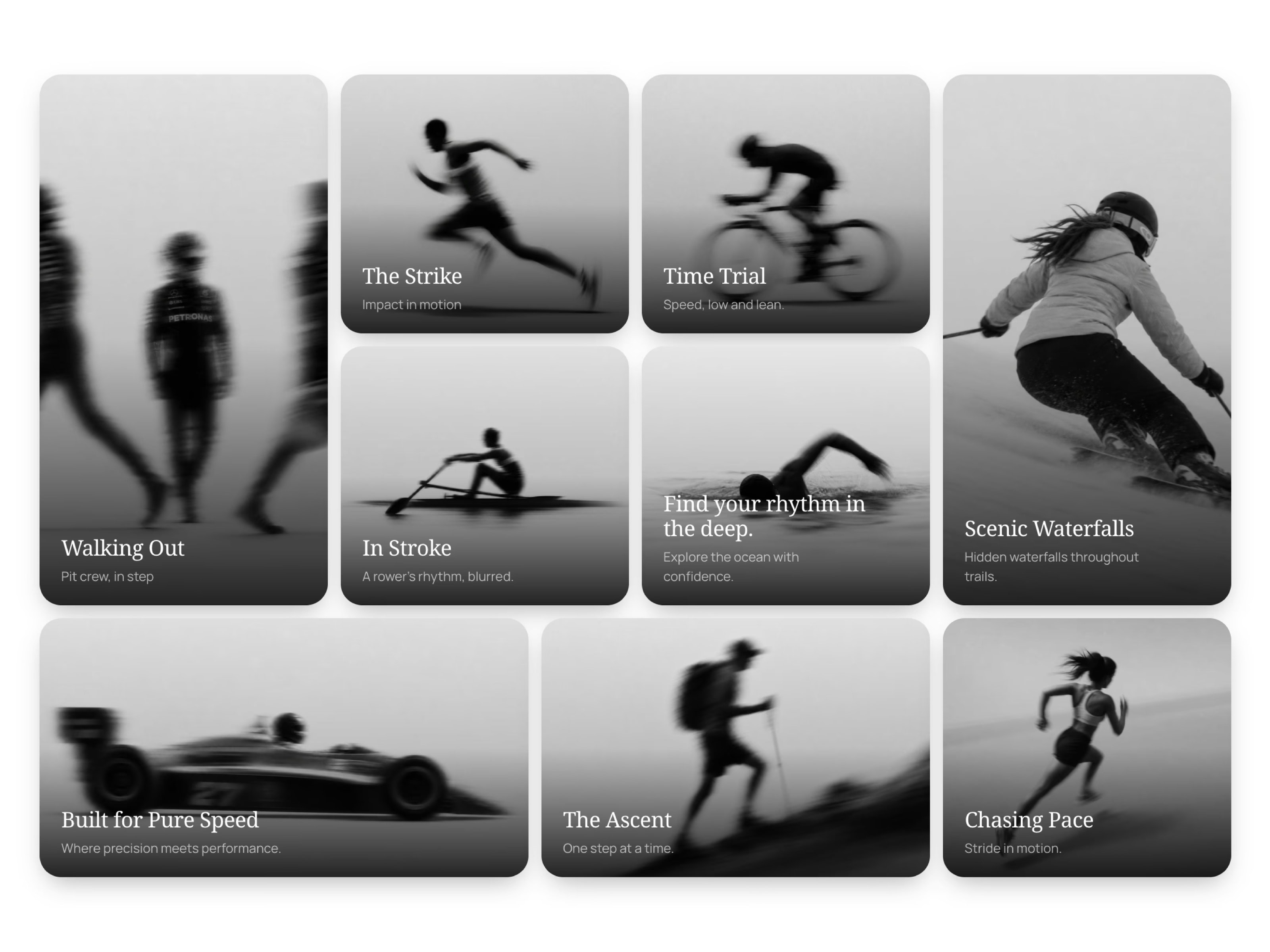 Bento Section