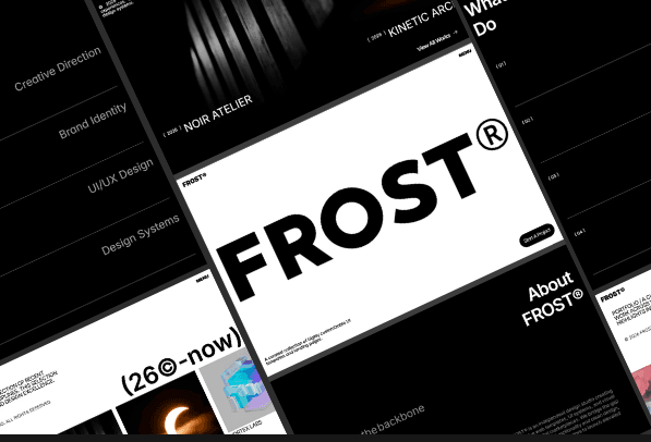 FR0ST®